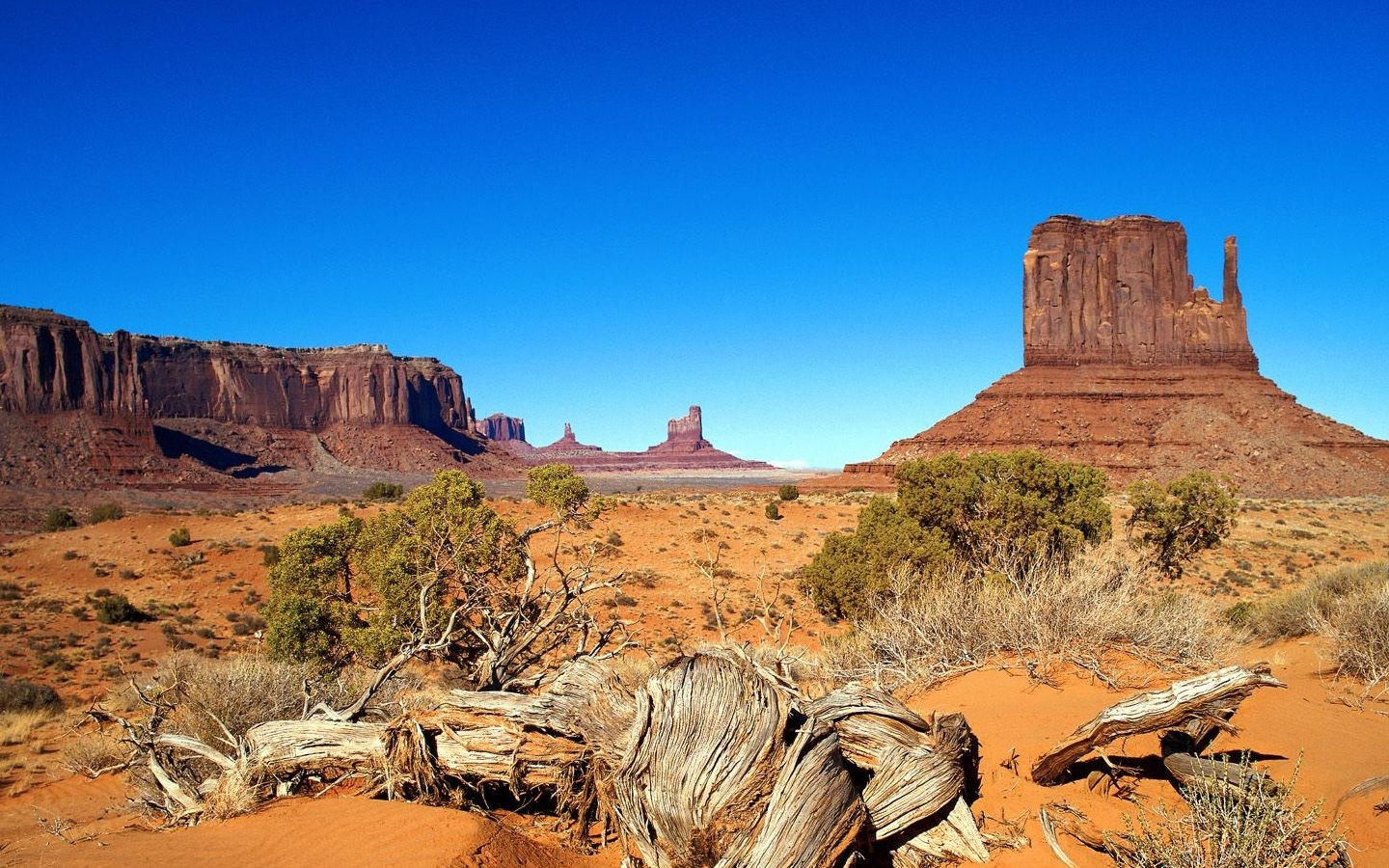 General 1440x900 landscape Arizona Monument Valley desert dead trees USA rock formation rocks