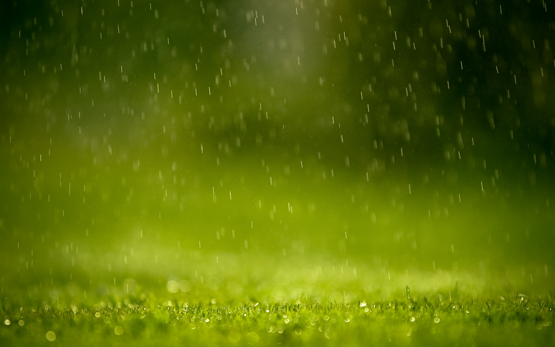 General 1920x1200 grass rain green depth of field nature water drops blurred macro plants wet