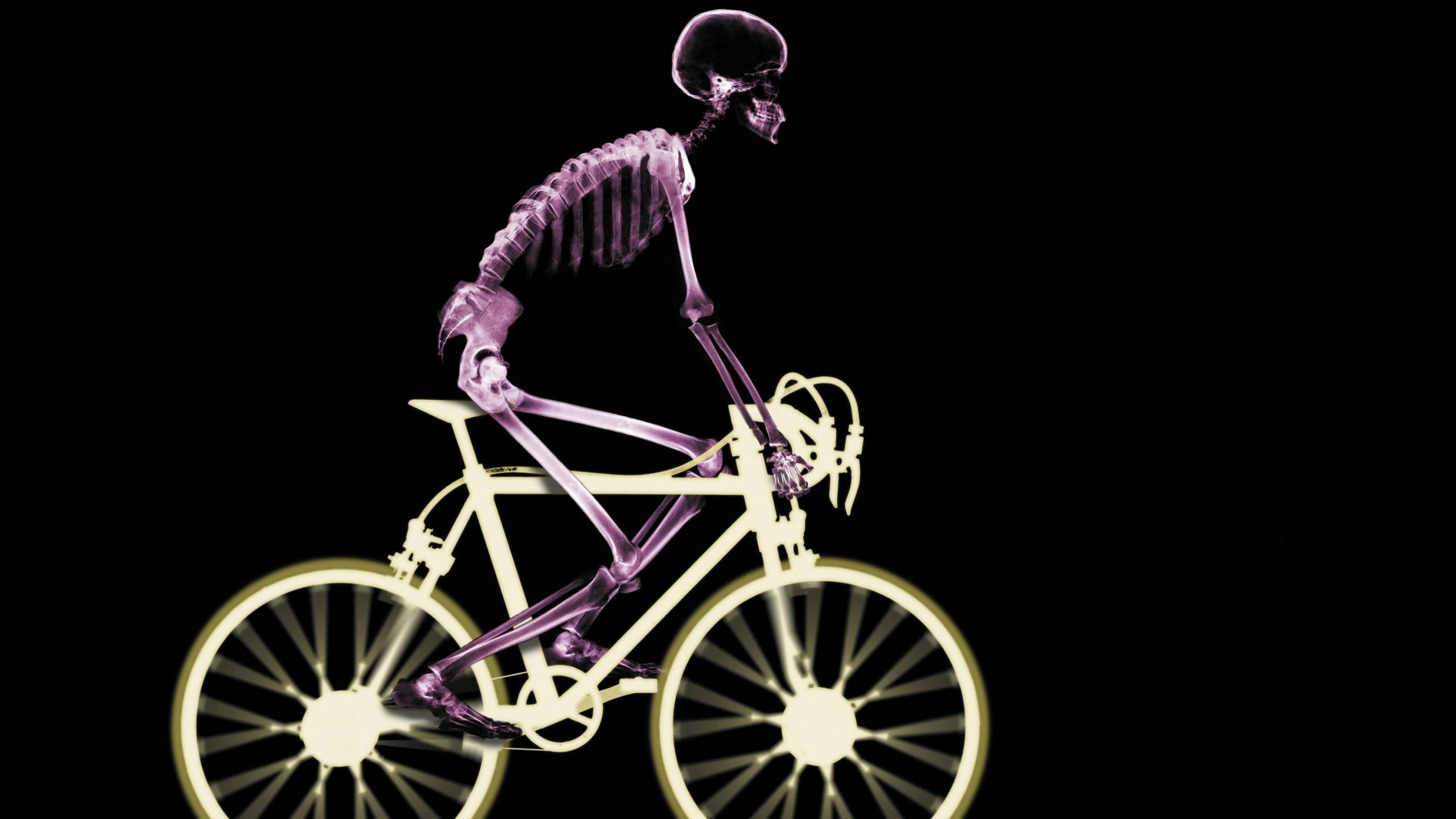 General 2560x1440 skeleton x-rays bicycle people skull bones fixie vehicle simple background black background