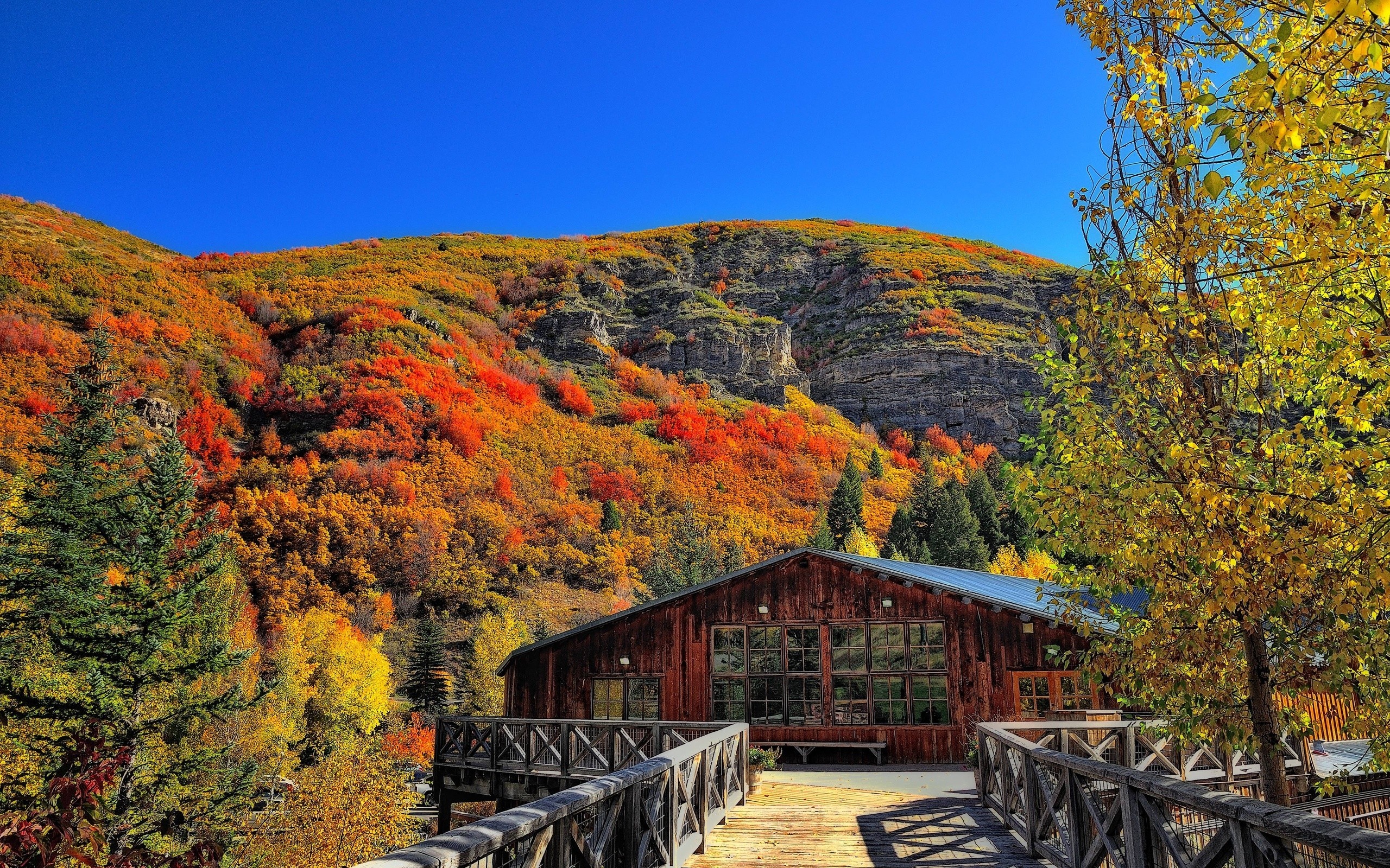 General 2560x1600 fall mountains wood house landscape red leaves nature cabin