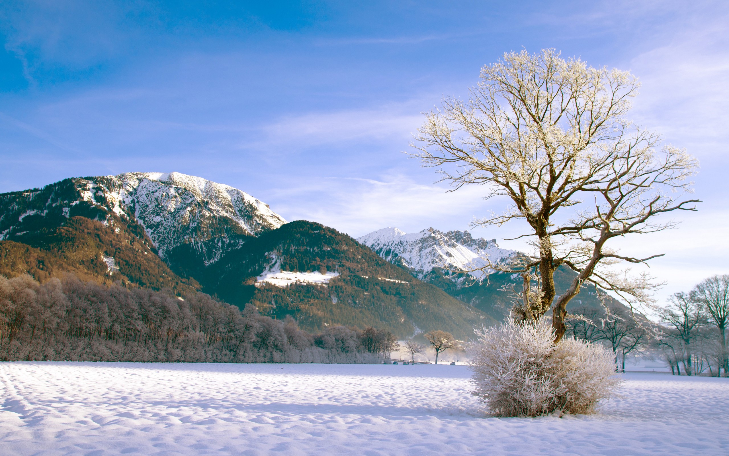 General 2560x1600 landscape snow winter trees frost mountains snowy mountain nature