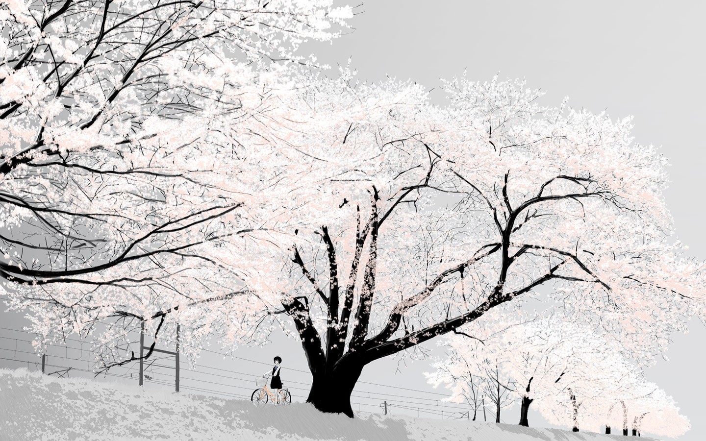 Anime 1440x900 trees snow winter anime girls anime bicycle women outdoors women with bicycles outdoors