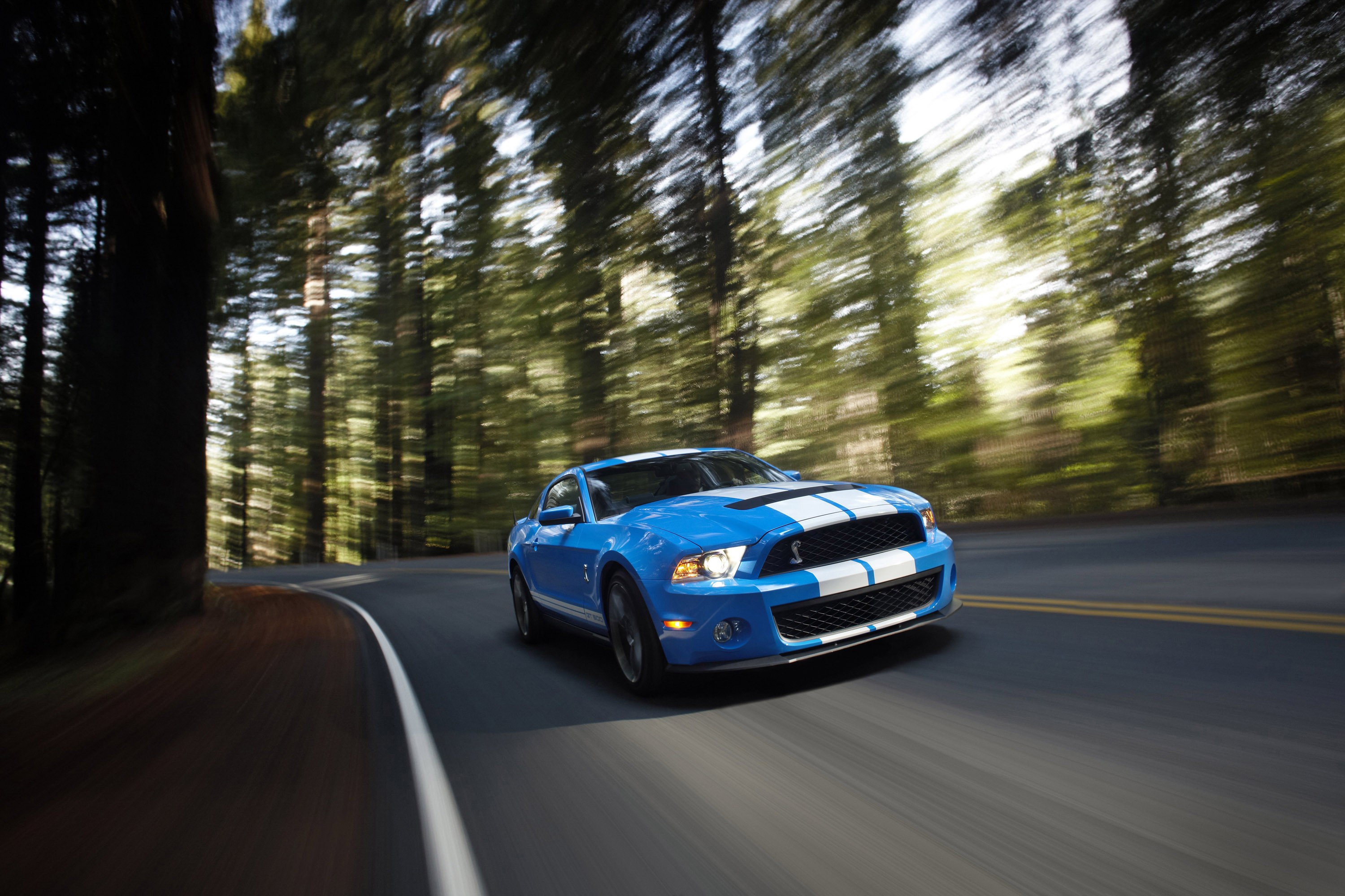 General 3000x2000 car Ford Ford Mustang Ford Mustang Shelby blurred road trees asphalt blue cars vehicle Shelby Ford Mustang S-197 II racing stripes muscle cars American cars