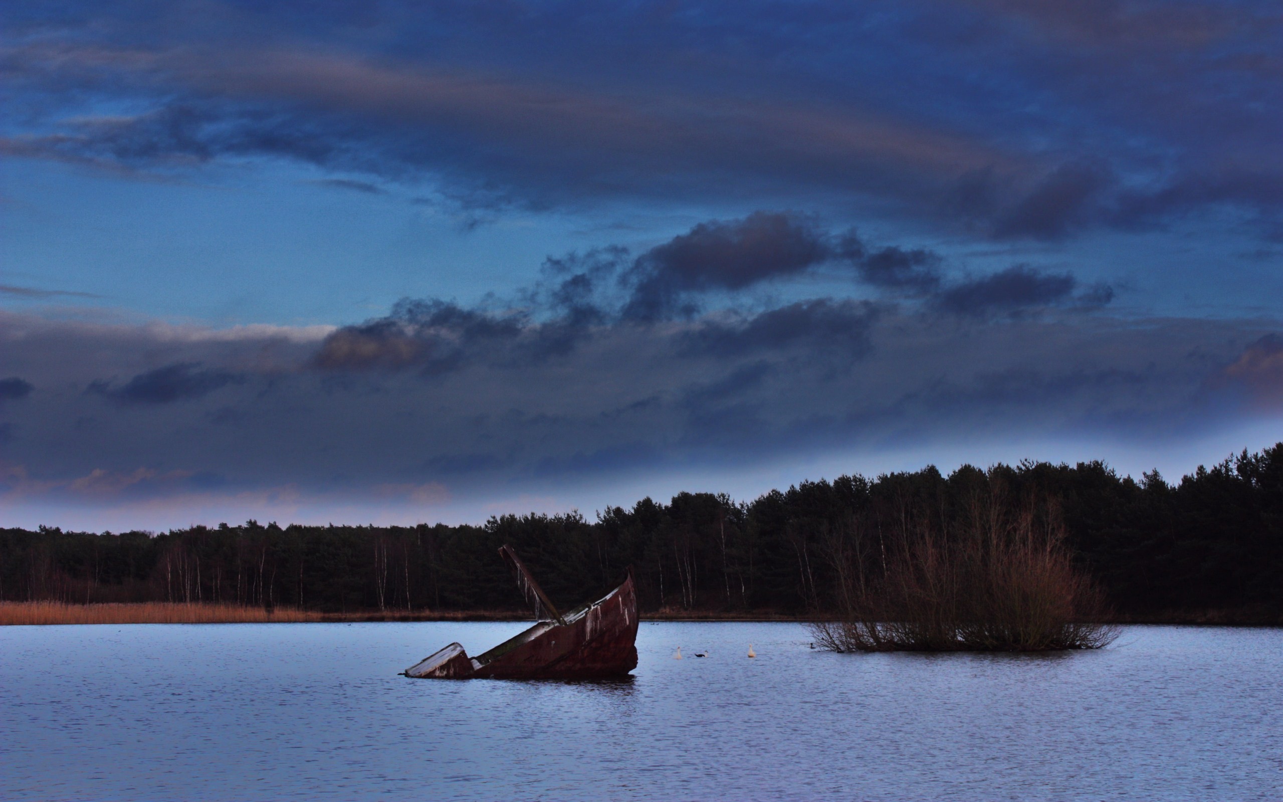 General 2560x1600 lake nature landscape forest clouds shipwreck water trees rust wreck