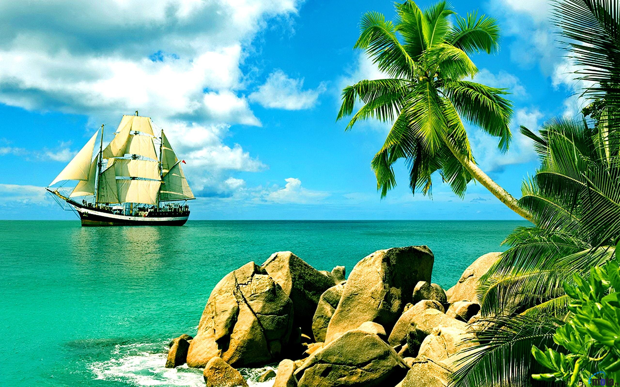 General 2560x1600 tropical palm trees ship nature clouds sea rocks sailing ship rigging (ship) trees sky vehicle