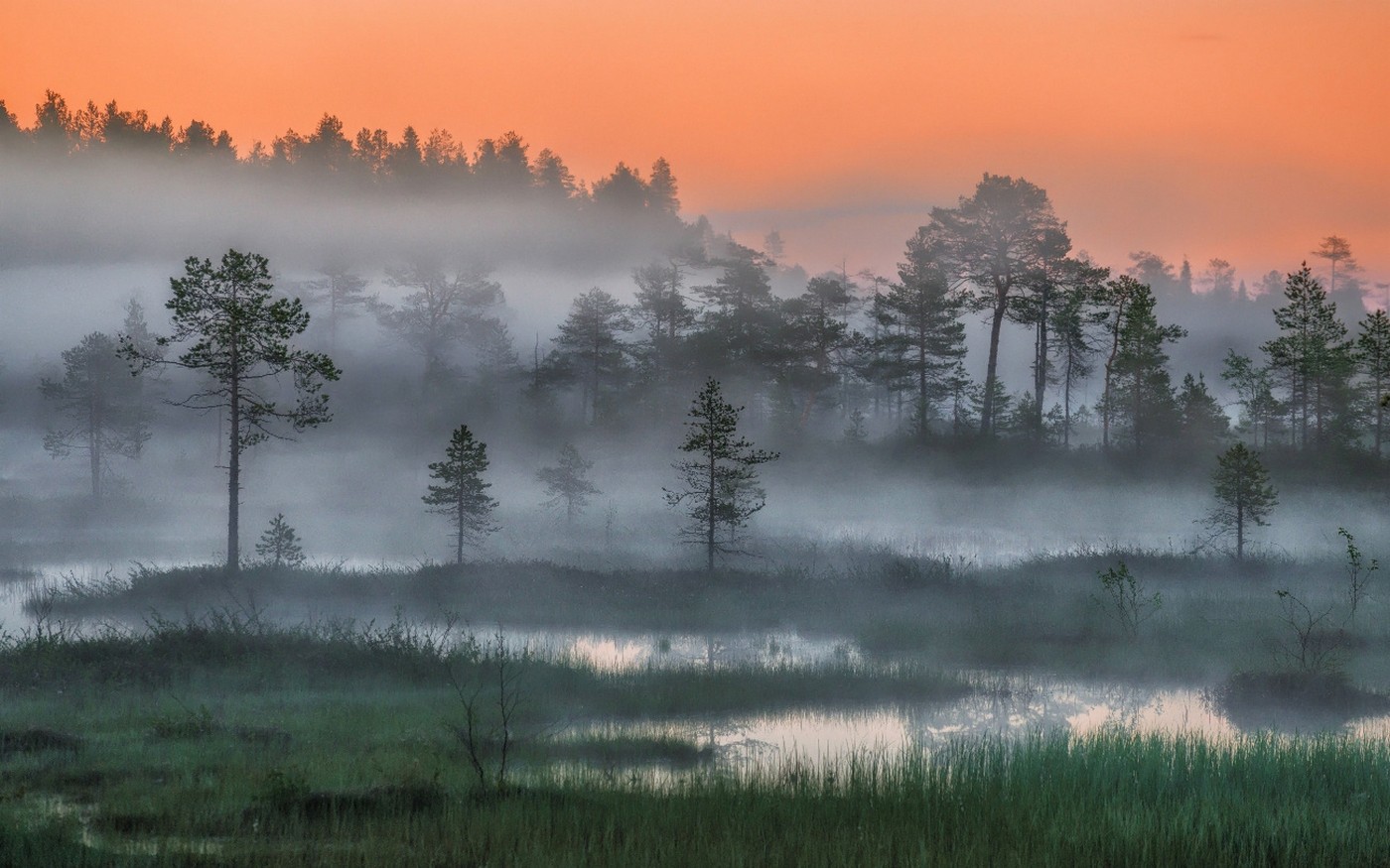 General 1400x875 nature landscape Russia forest mist trees sunset night wetland