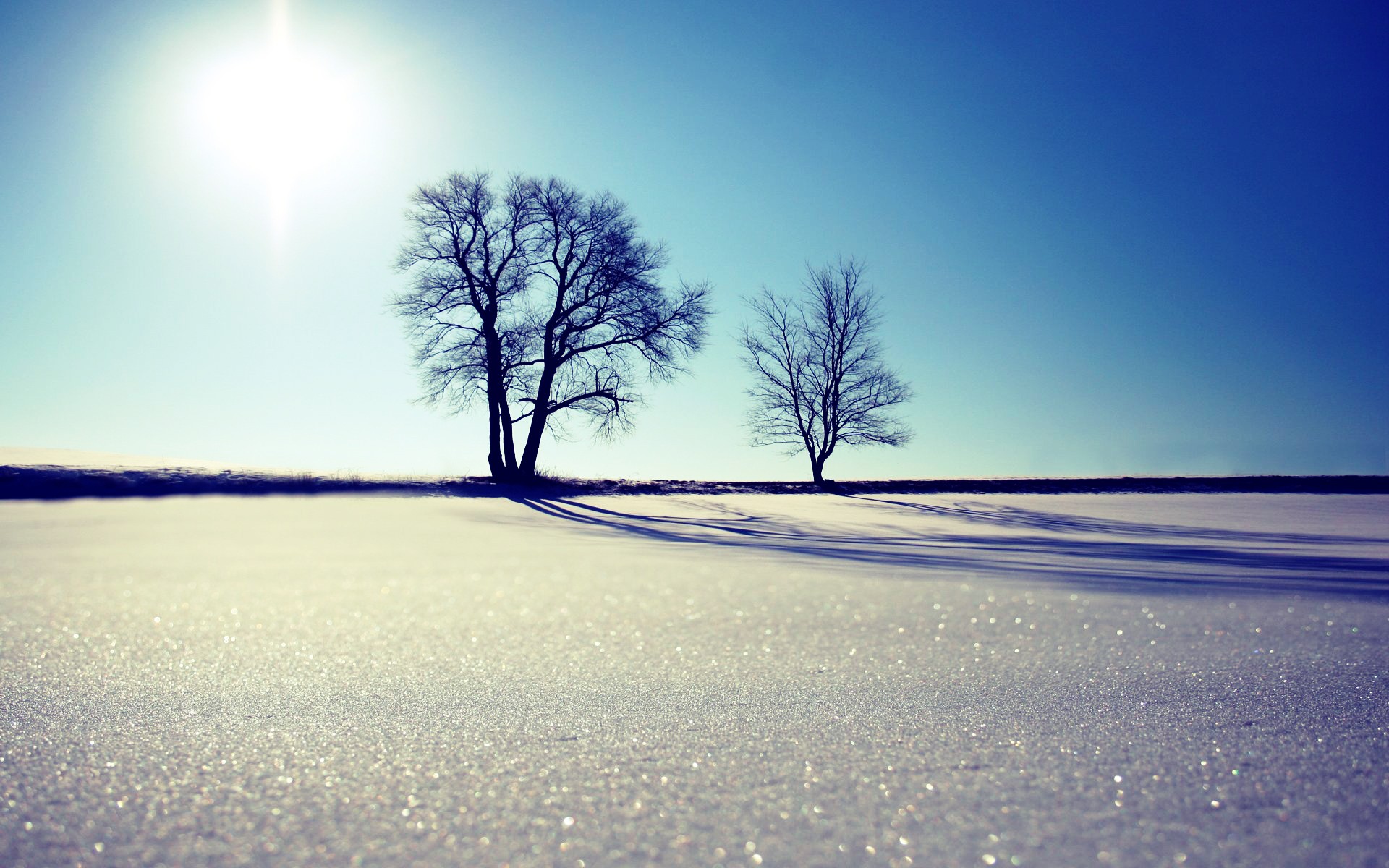 General 1920x1200 nature landscape trees outdoors snow winter ice cold