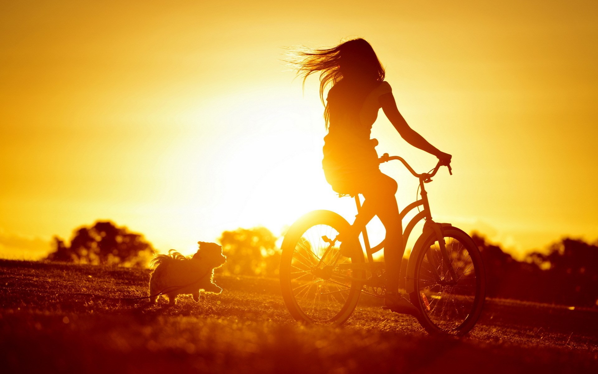 People 1920x1200 sunset women bicycle dog sunlight silhouette women with bicycles natural light animals mammals vehicle women outdoors outdoors Sun