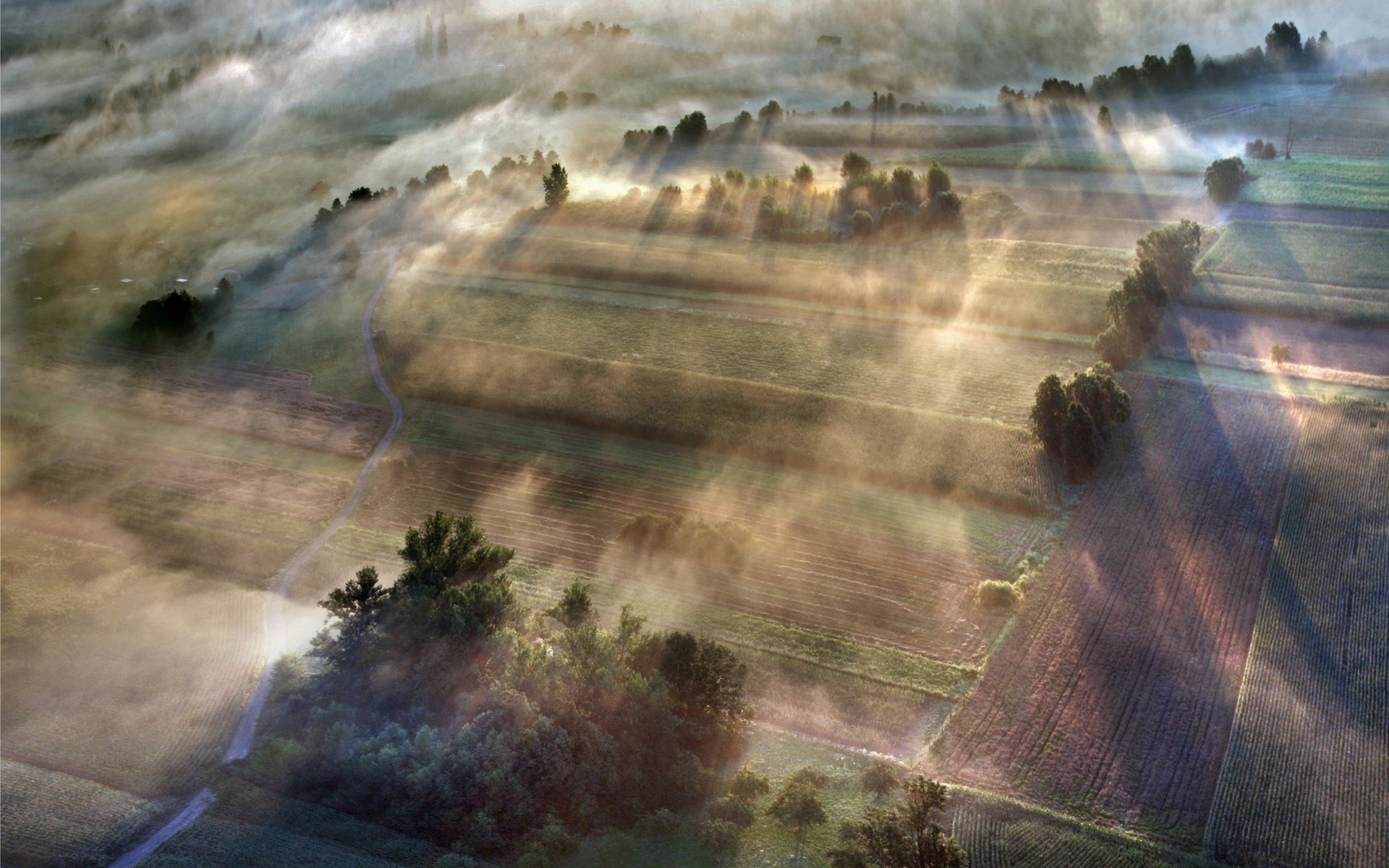 General 1920x1200 nature landscape sunlight morning mist spring field aerial view trees