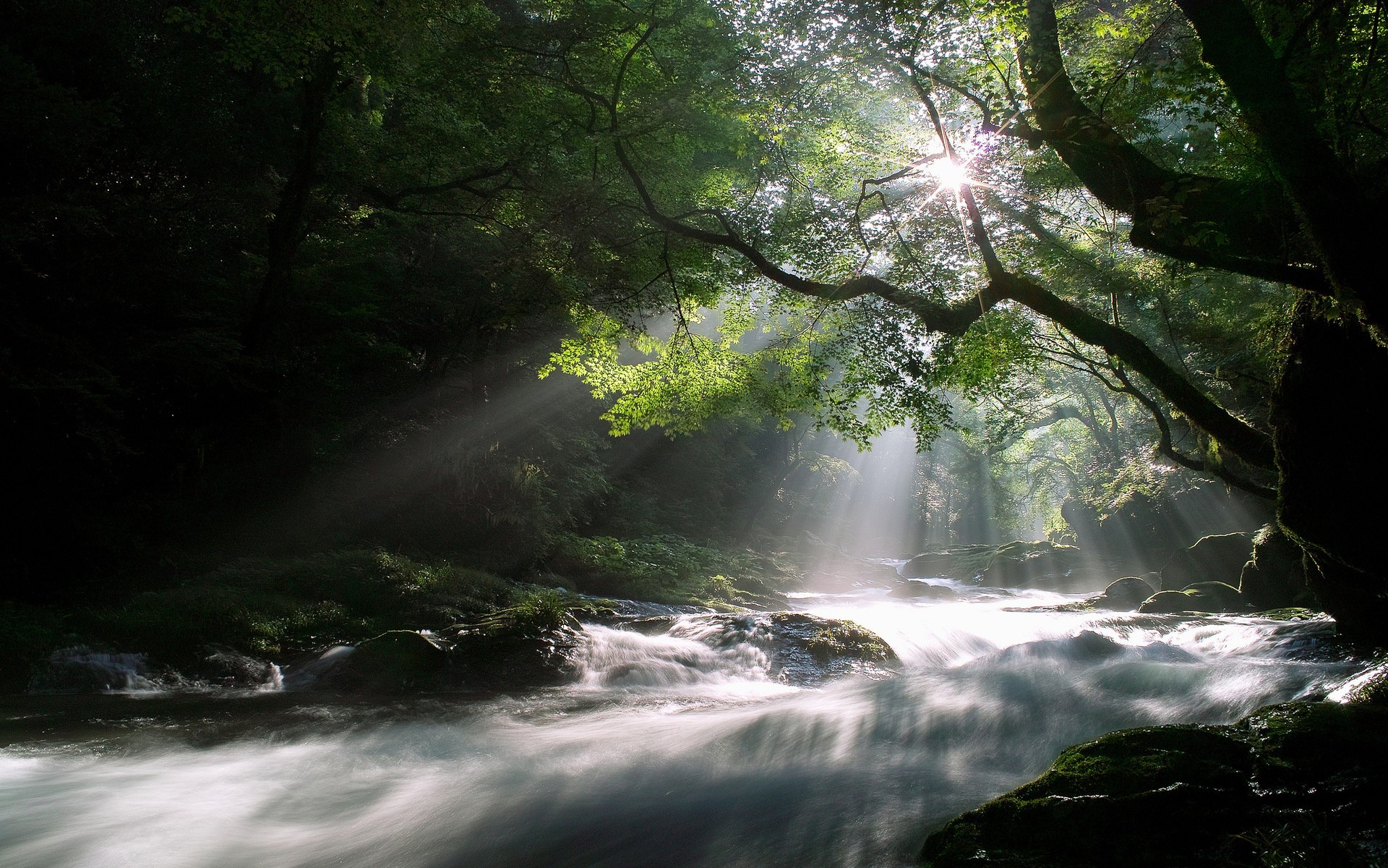 General 1920x1200 water nature forest river