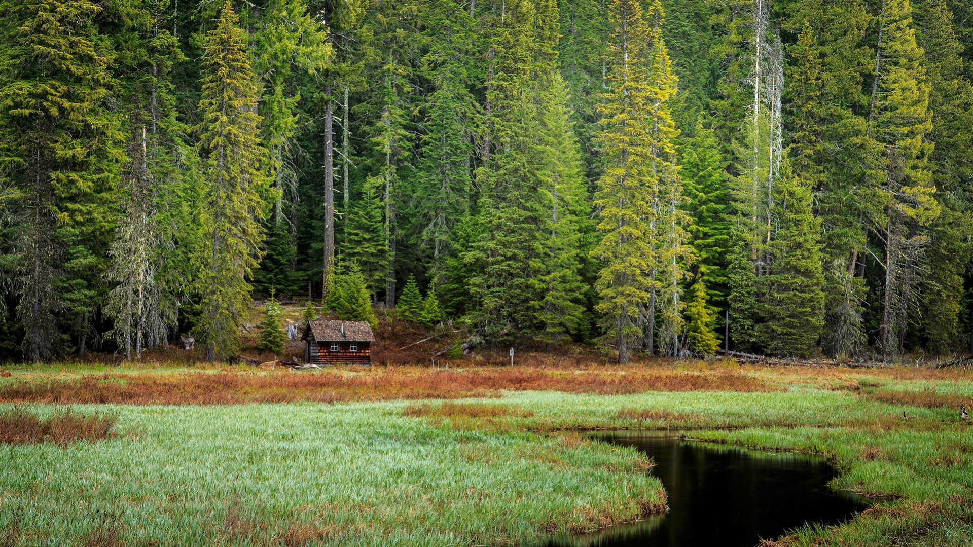 General 1919x1079 Oregon cabin nature landscape forest USA