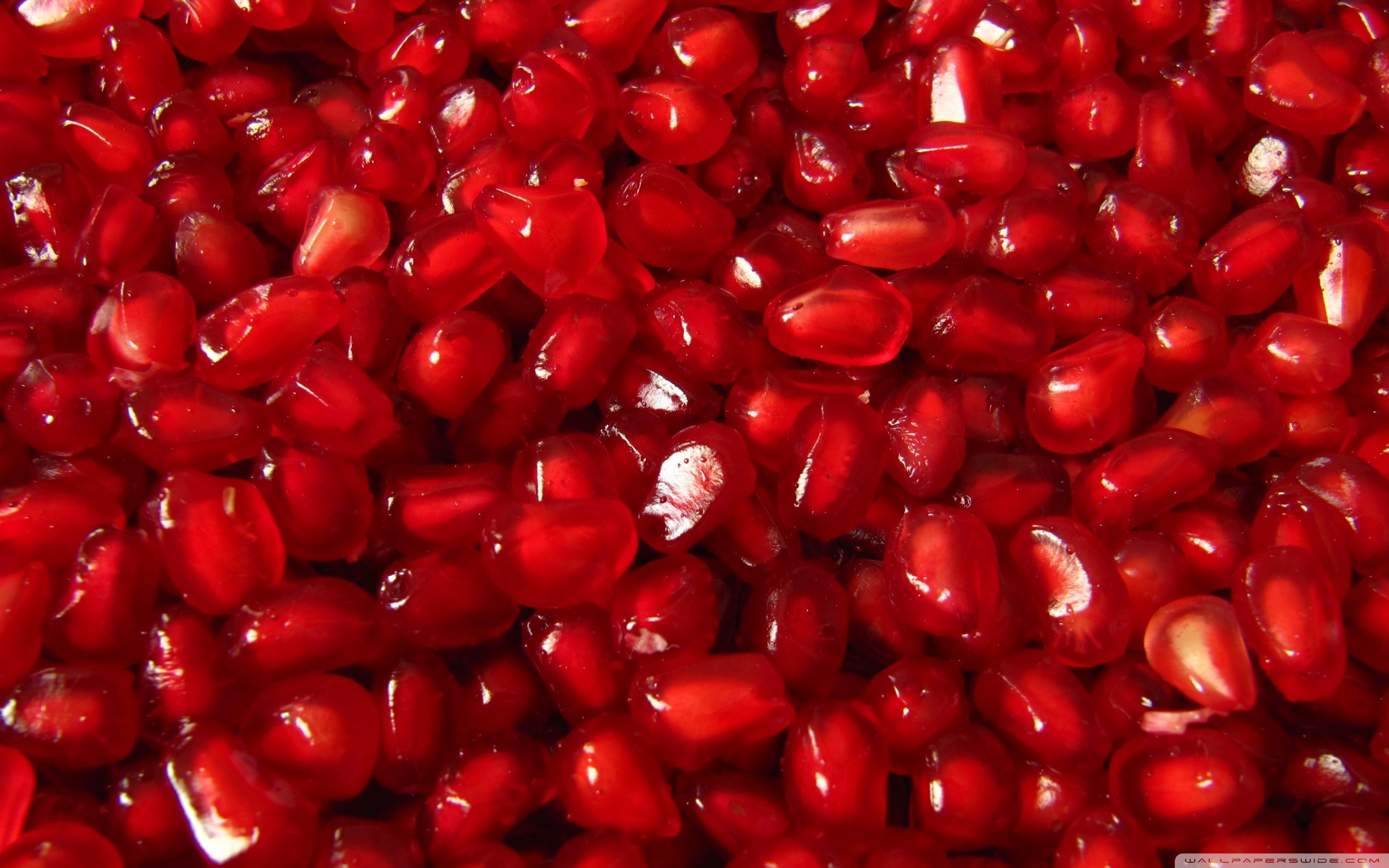 General 2560x1600 fruit pomegranate food red macro