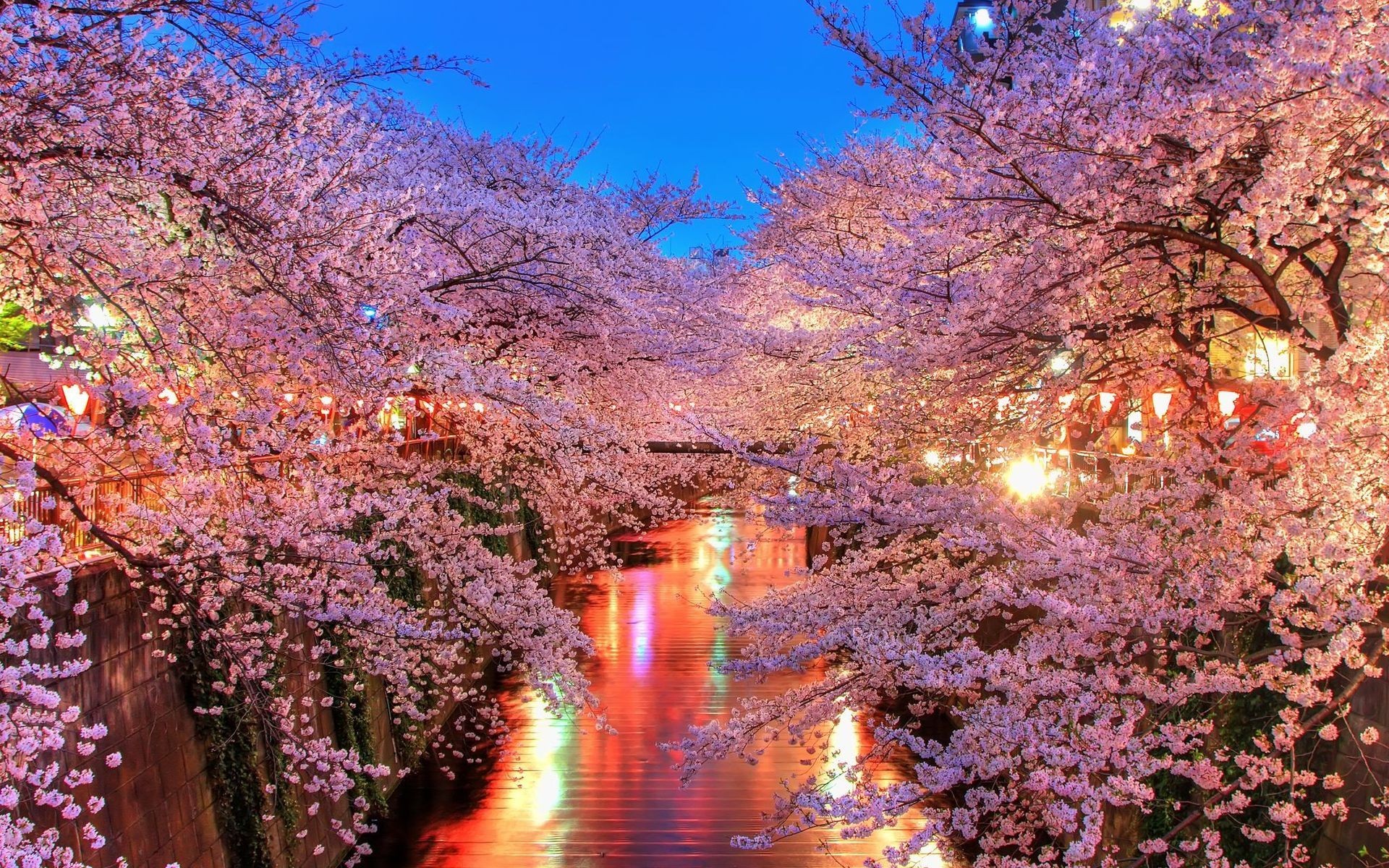General 1920x1200 cherry blossom photography plants trees flowers lights water Japan Asia city lights canal spring