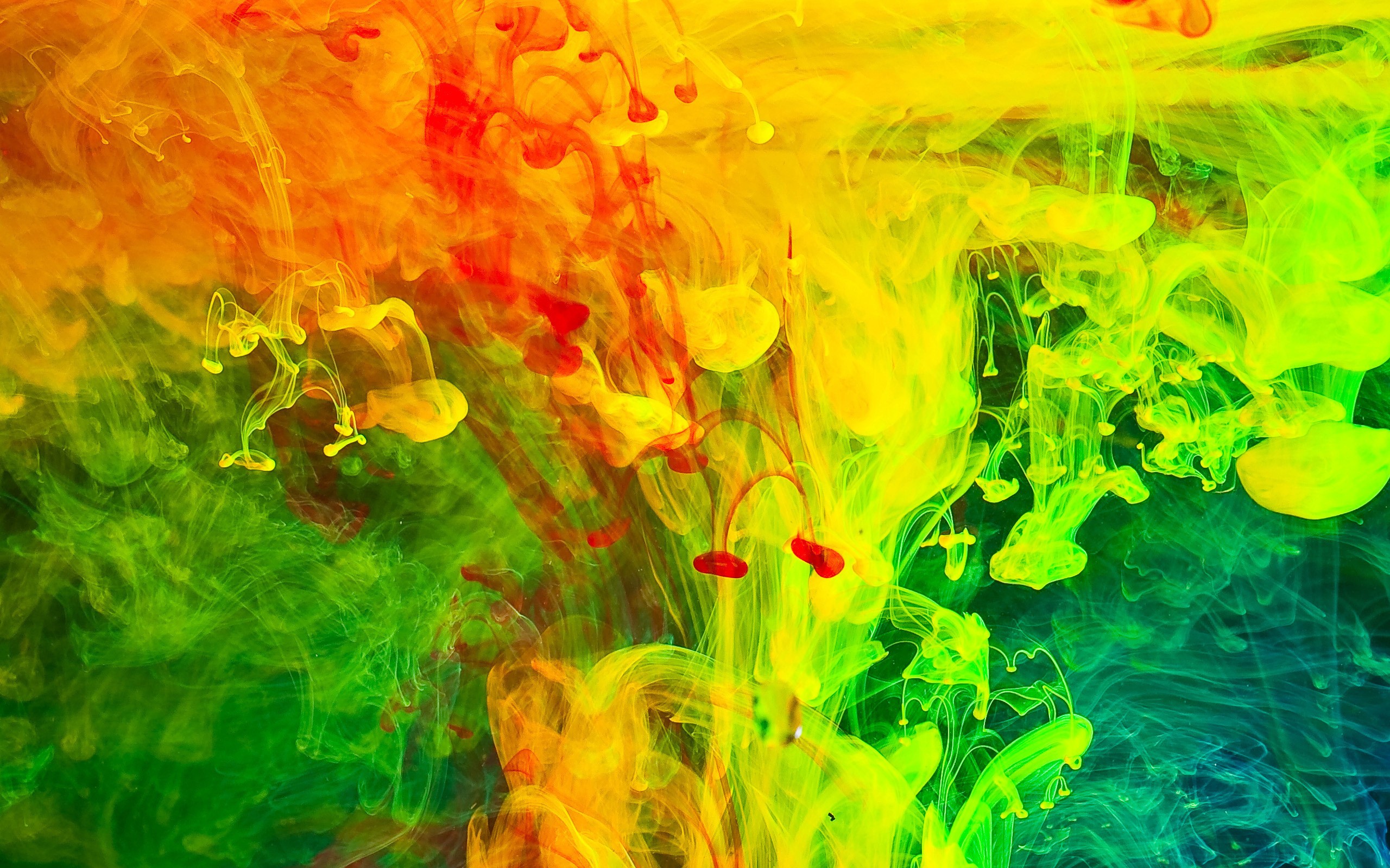 General 2560x1600 paint in water liquid abstract colorful artwork