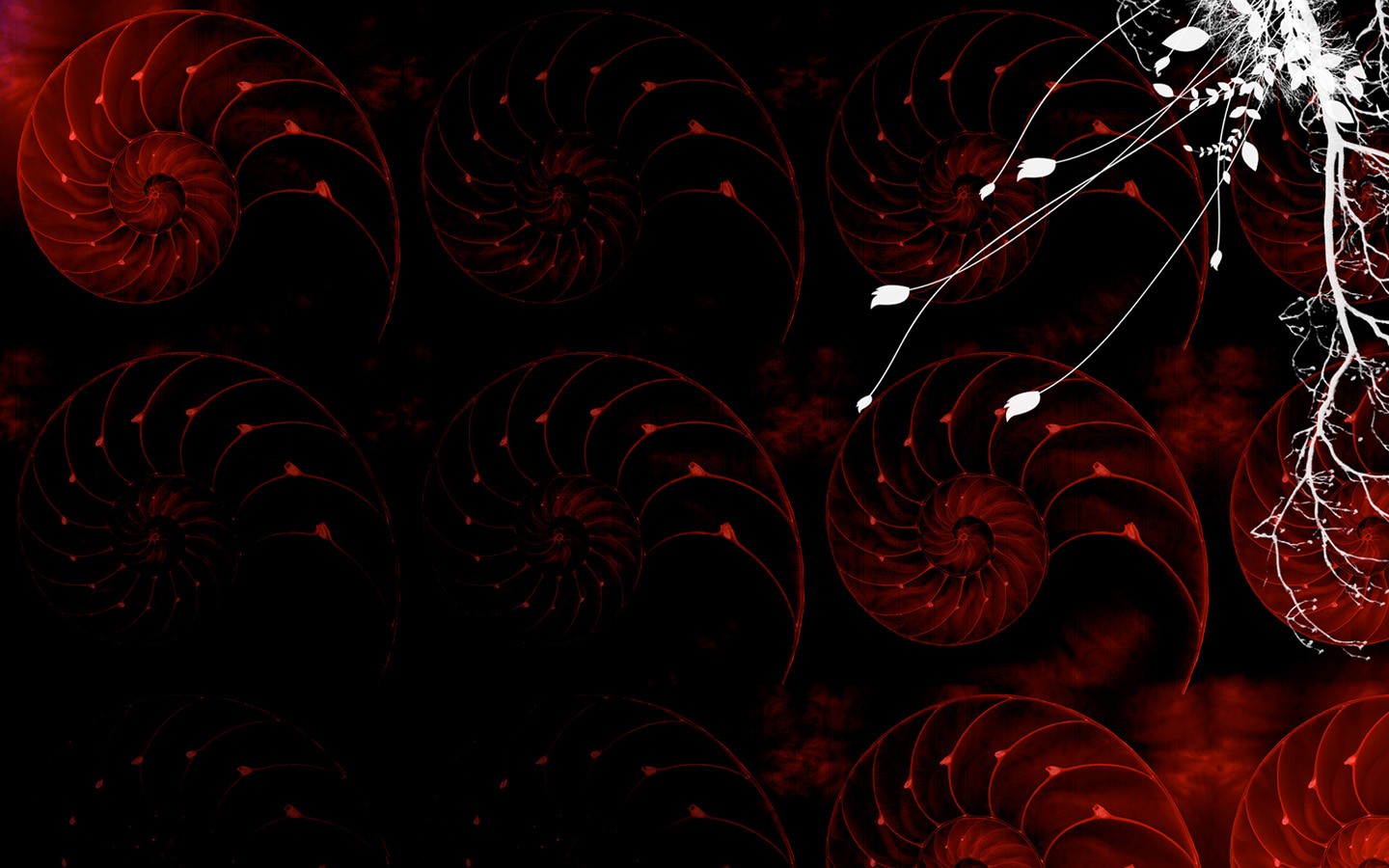 General 1440x900 abstract spiral red digital art flowers plants