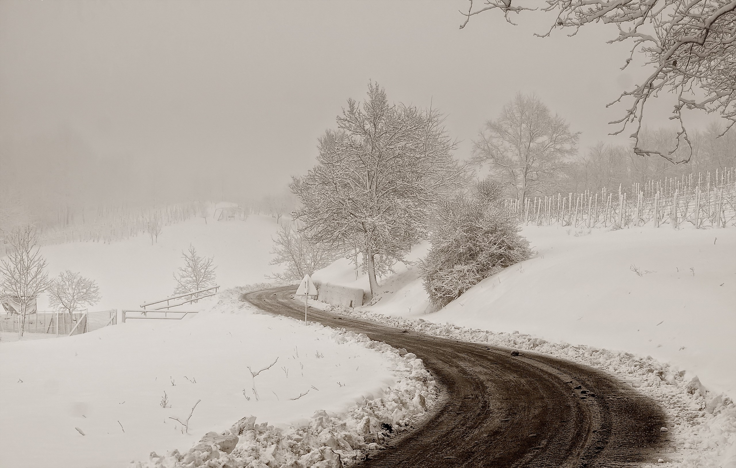 General 2560x1627 winter snow road mist dirt road white cold monochrome snow covered outdoors trees branch