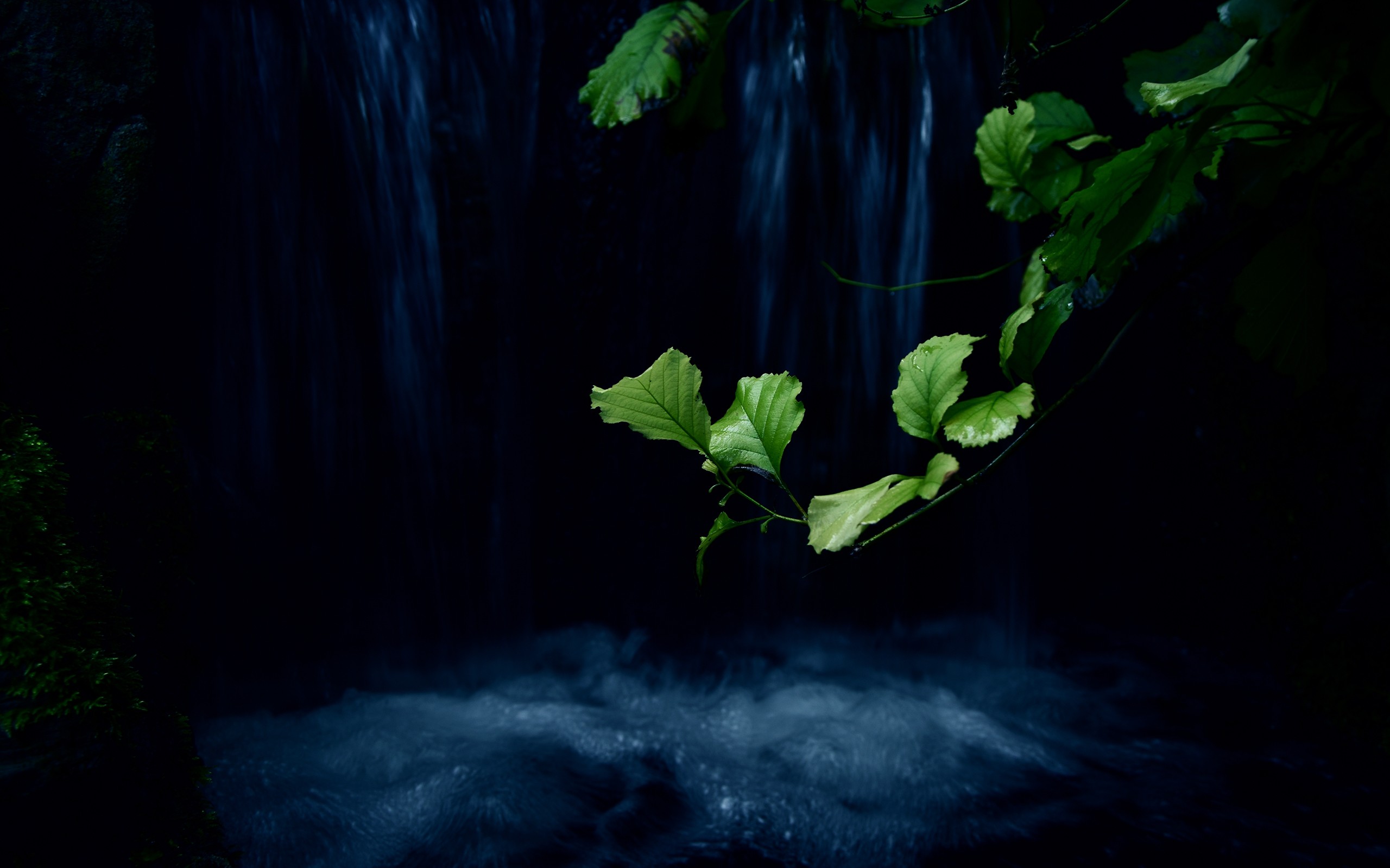 General 2560x1600 plants lake night nature outdoors waterfall leaves low light