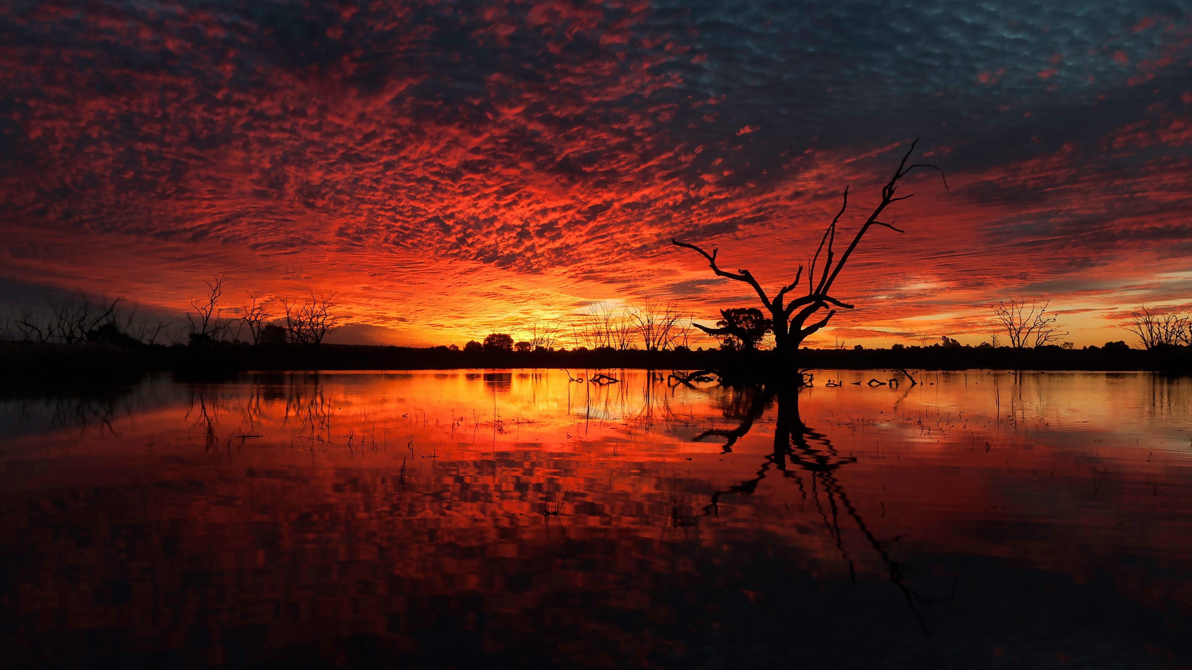 General 3840x2160 landscape clouds lake skyscape sunset silhouette red dead trees orange sky reflection nature sunlight sky