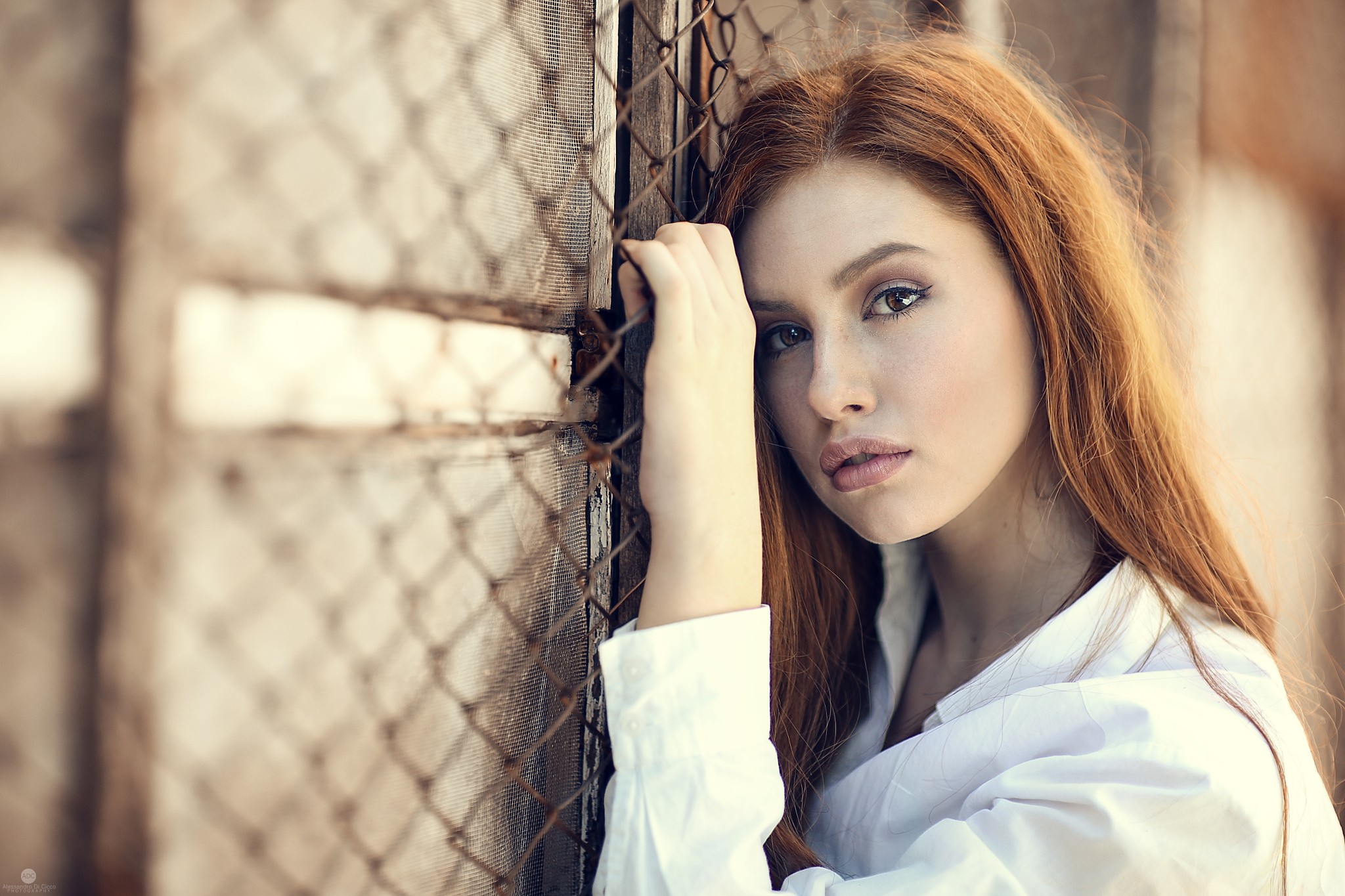 People 2048x1365 women model redhead brown eyes juicy lips portrait depth of field Alessandro Di Cicco Valentina Galassi women outdoors fence metal grid parted lips pale closeup watermarked