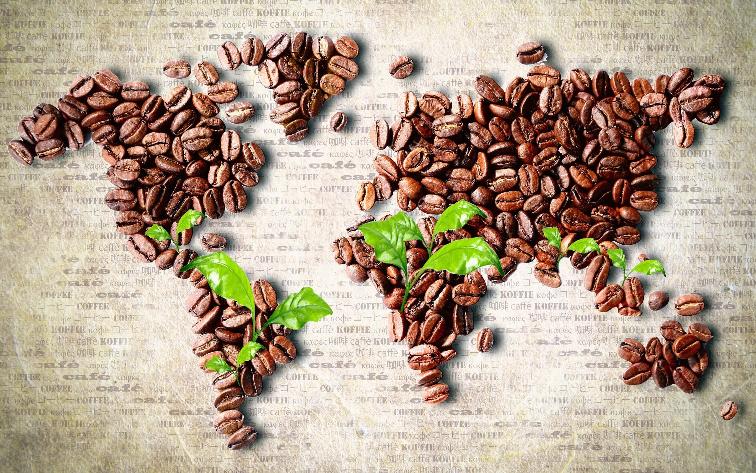 General 2560x1600 coffee beans world map leaves coffee digital art food