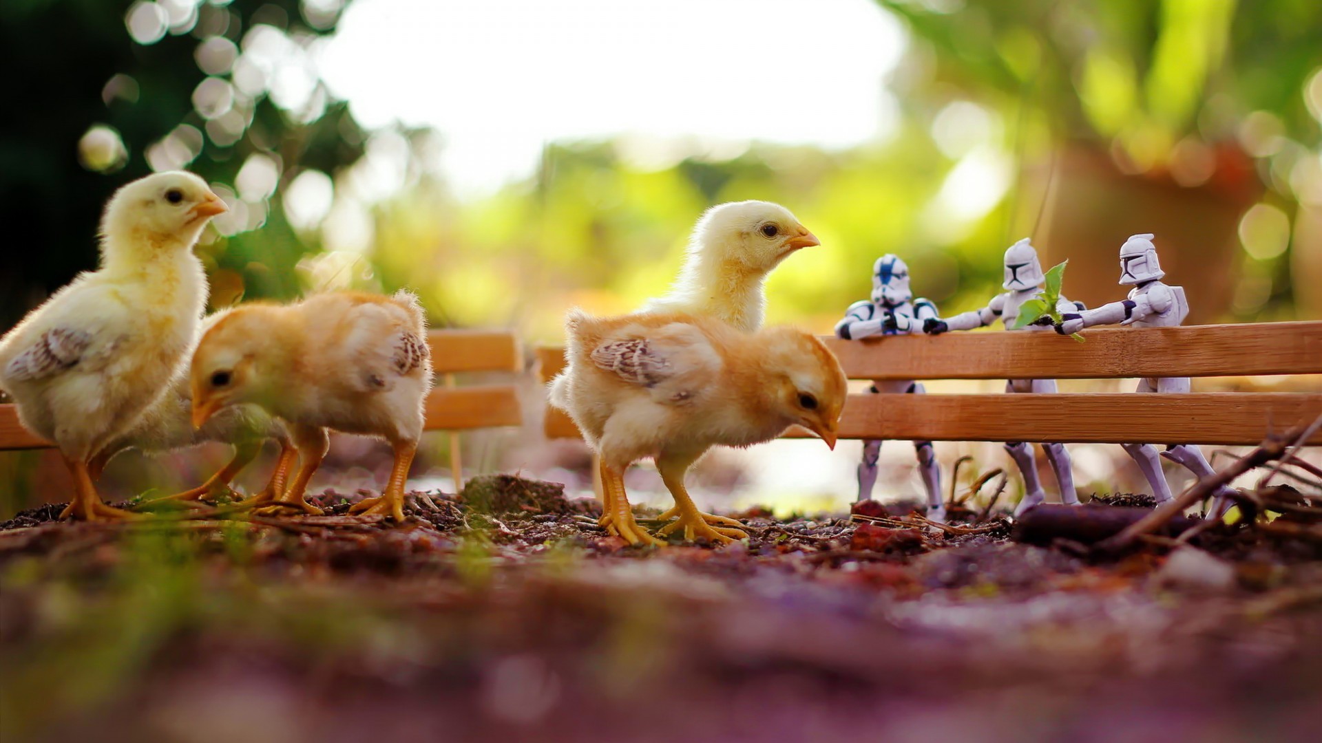 General 1920x1080 chickens birds stormtrooper fence toys bokeh humor Star Wars animals outdoors Star Wars Humor