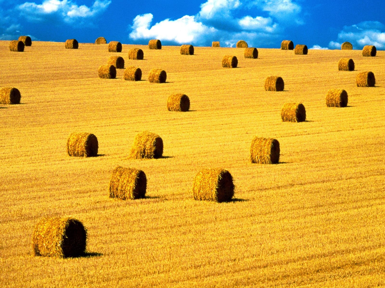 General 1600x1200 haystacks landscape field farm