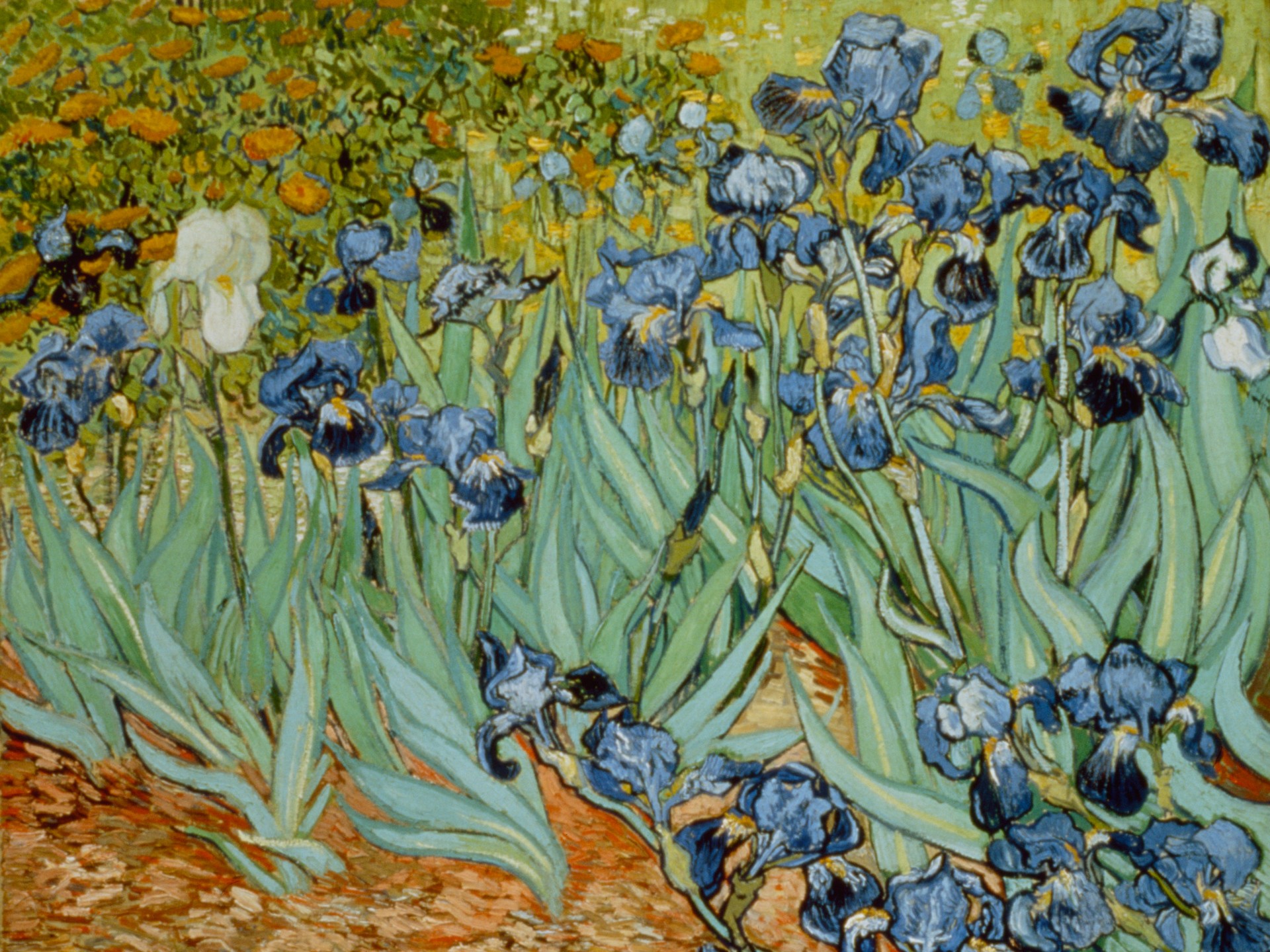 General 1920x1440 Vincent van Gogh artwork painting flowers nature