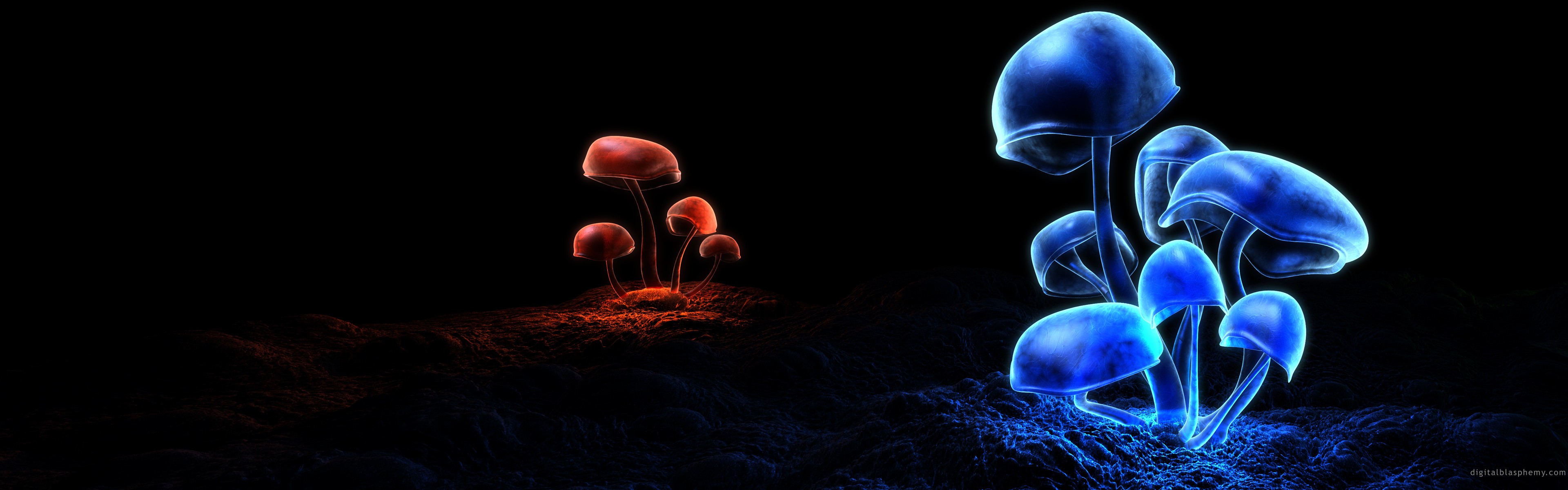 General 3840x1200 mushroom nature digital art simple background red blue
