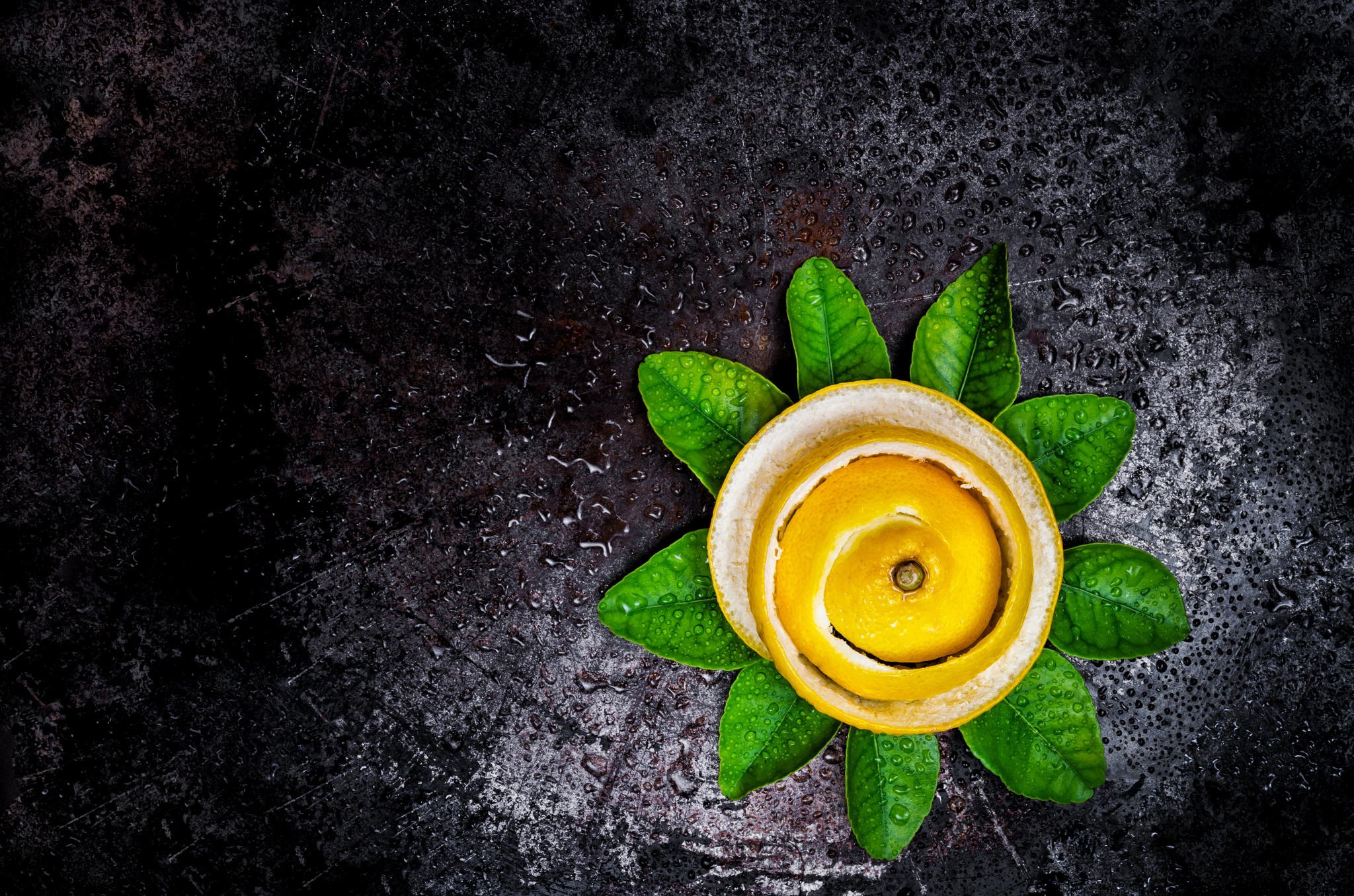 General 2048x1356 lemons leaves food fruit simple background closeup top view wet water drops