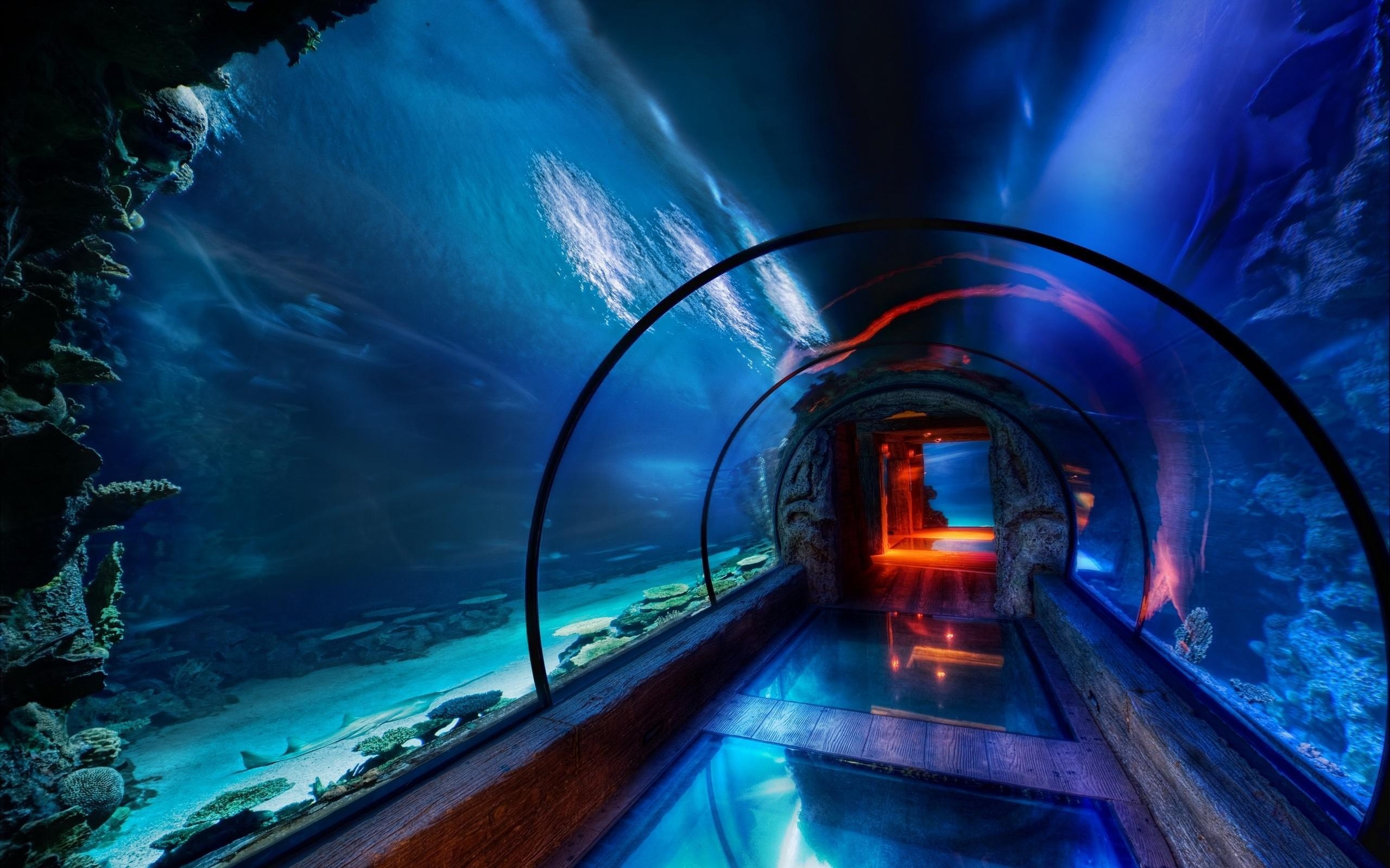 General 2560x1600 aquarium tunnel underwater sea HDR