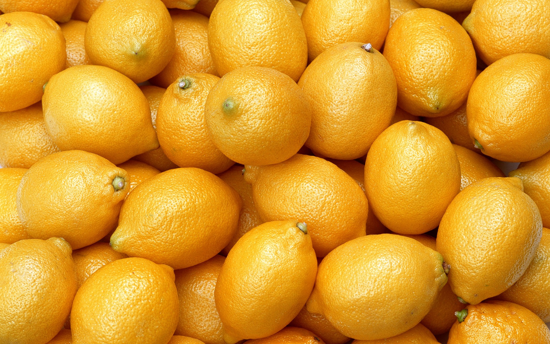 General 1920x1200 lemons plants food vibrant yellow
