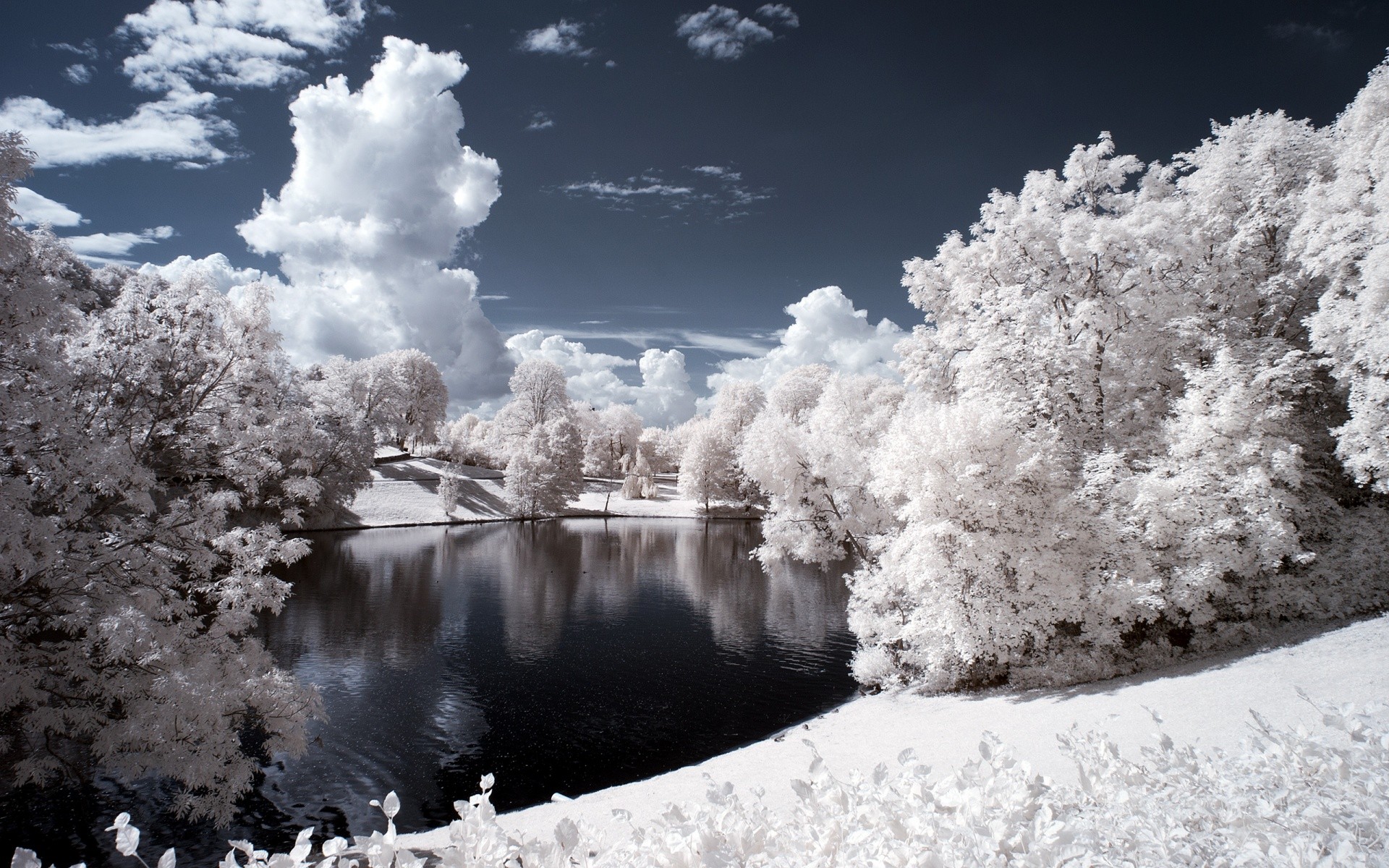 General 1920x1200 nature landscape lake trees infrared winter cold frost ice outdoors