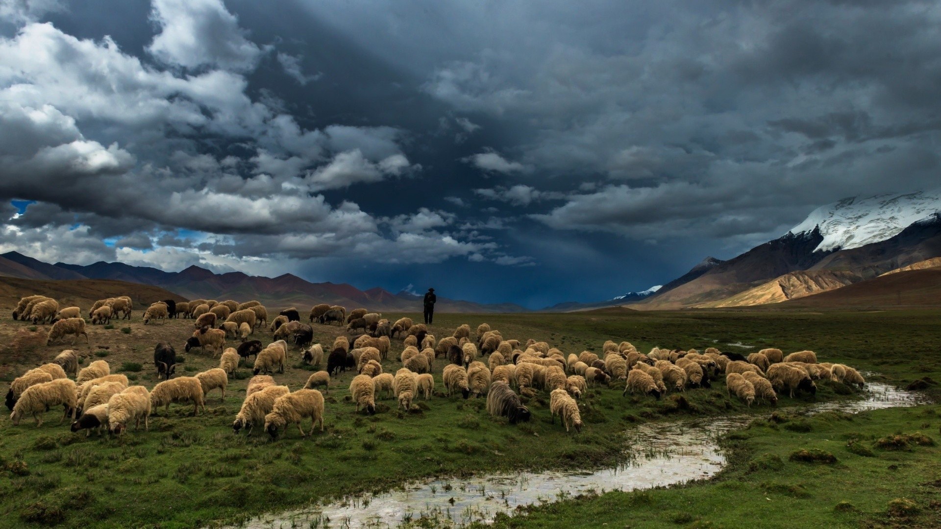 General 1920x1080 nature landscape mountains hills water snow men clouds stream sheep animals mammals sky