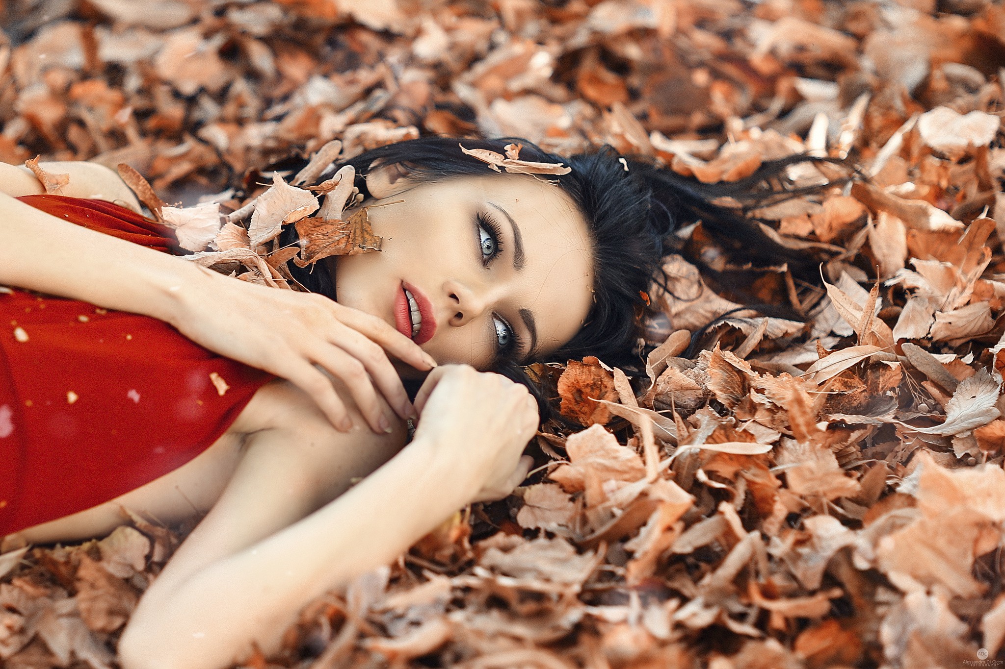 People 2048x1365 Alessandro Di Cicco fall leaves women dark hair red dress long hair lying down makeup eyes face women outdoors fallen leaves looking away black hair outdoors parted lips