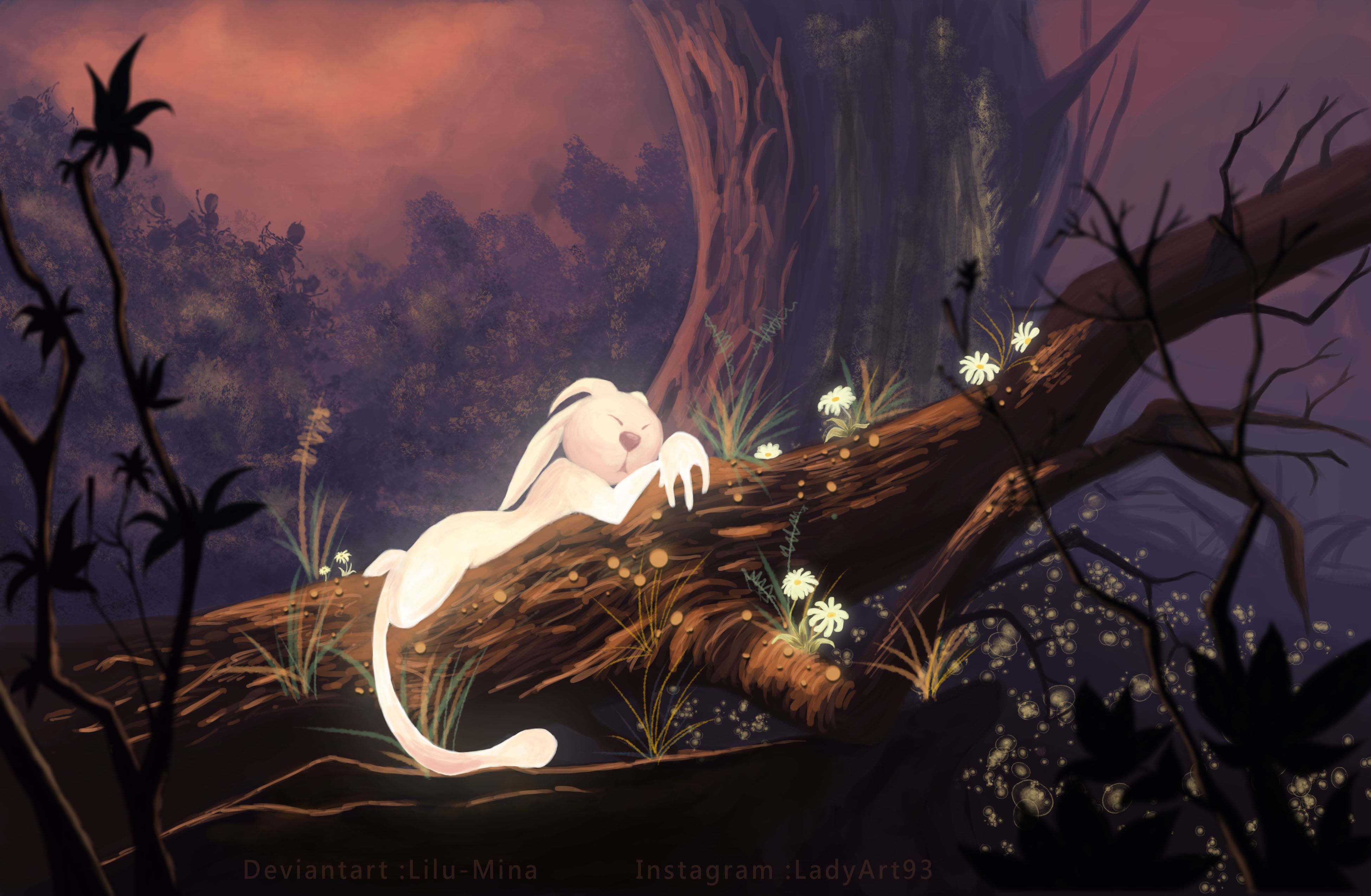 General 3900x2550 video games Ori and the Blind Forest video game art
