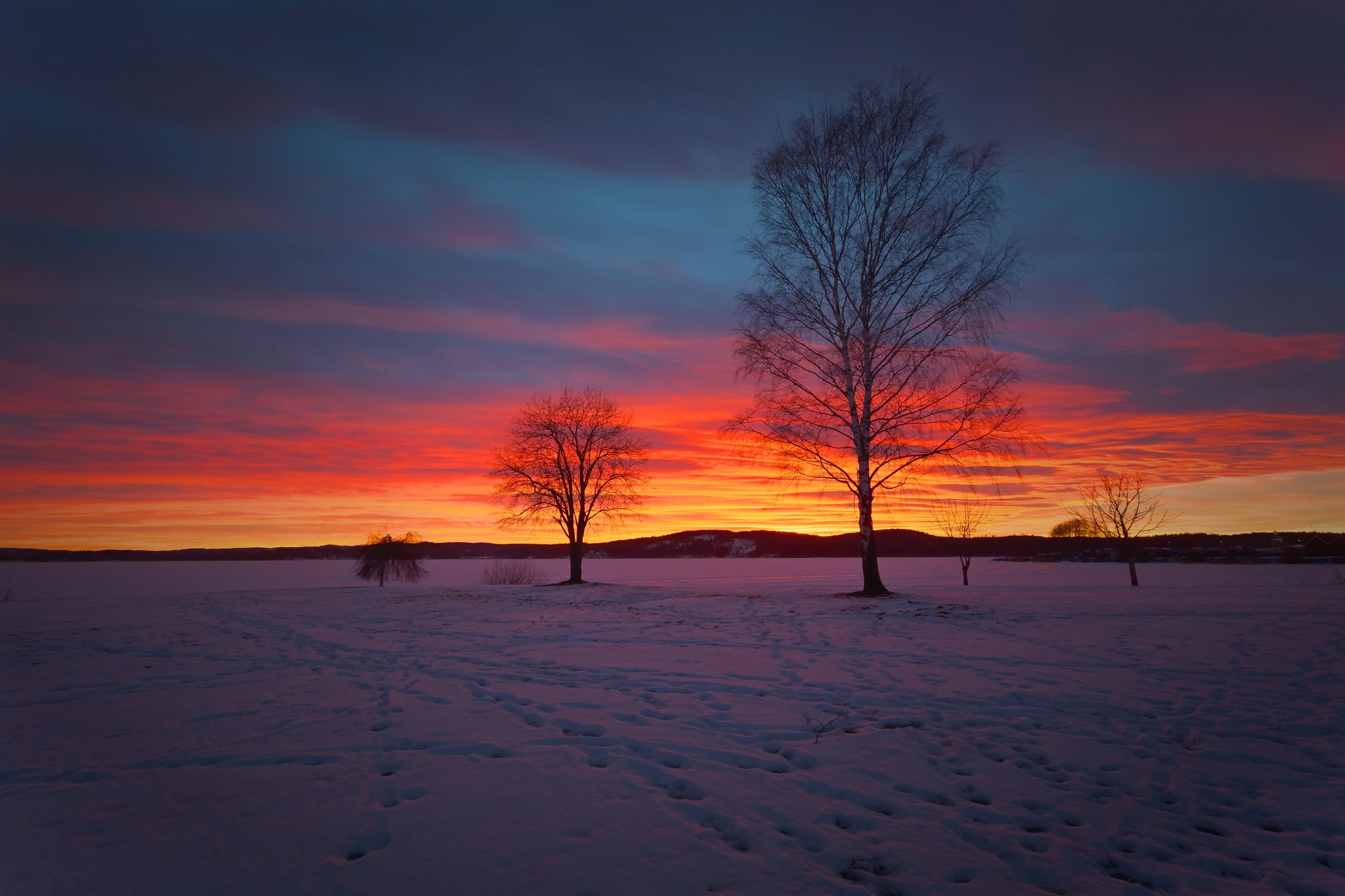 General 2048x1365 snow landscape trees birch skyscape purple sky sunset dusk winter orange sky sky cold outdoors