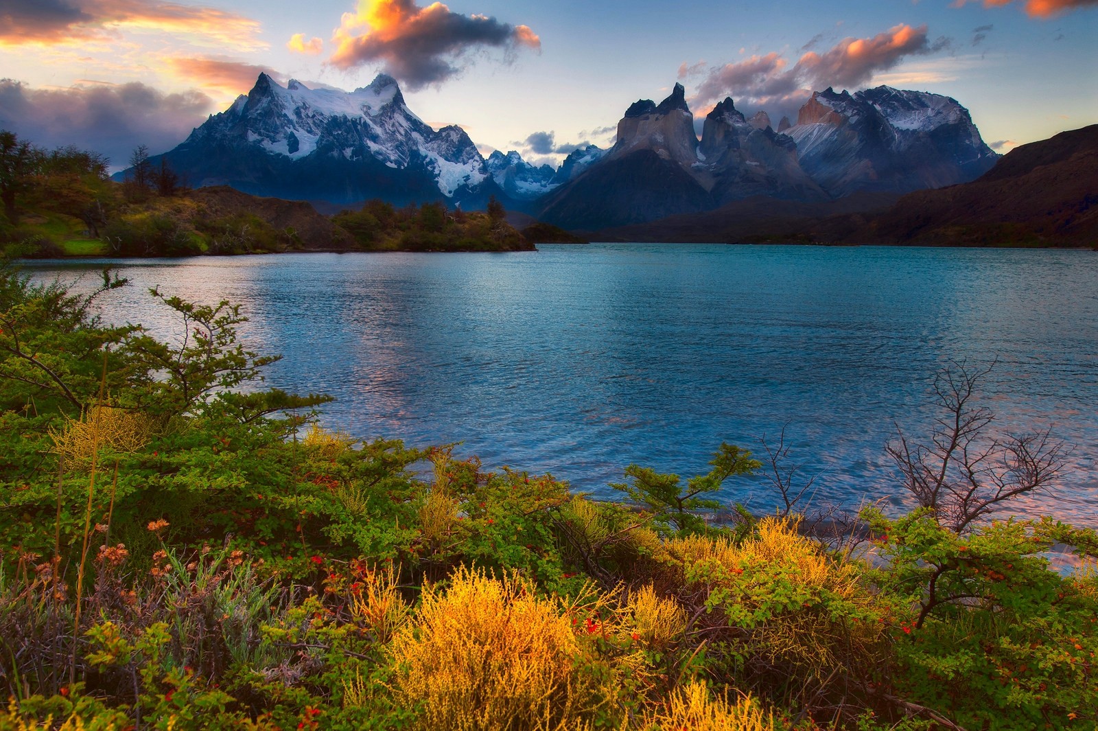 General 1600x1065 nature landscape lake sunset spring mountains snowy peak shrubs wildflowers Torres del Paine national park Chile Patagonia South America