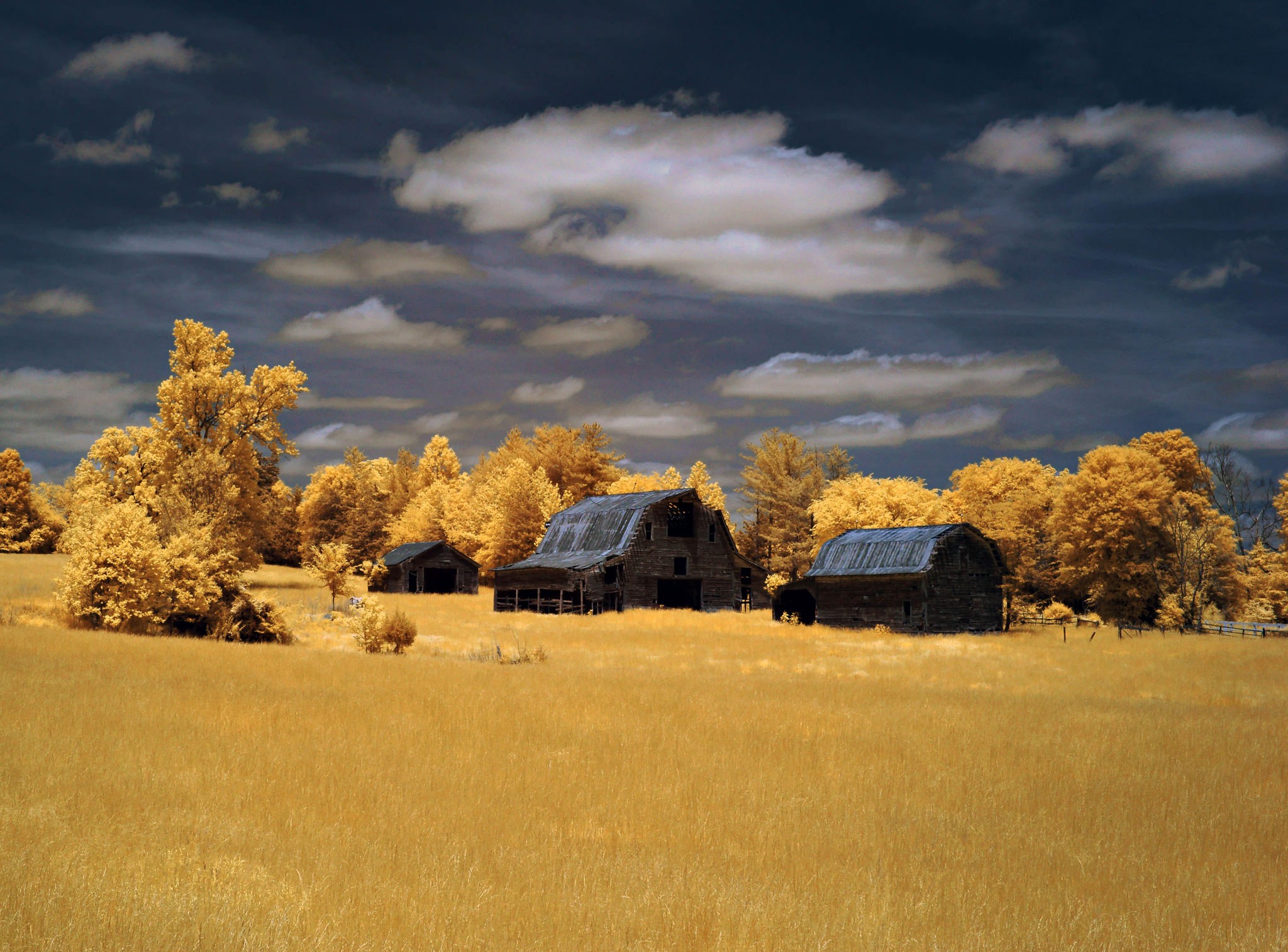 General 2048x1514 barns abandoned dry grass fall color correction yellow outdoors sky clouds plants