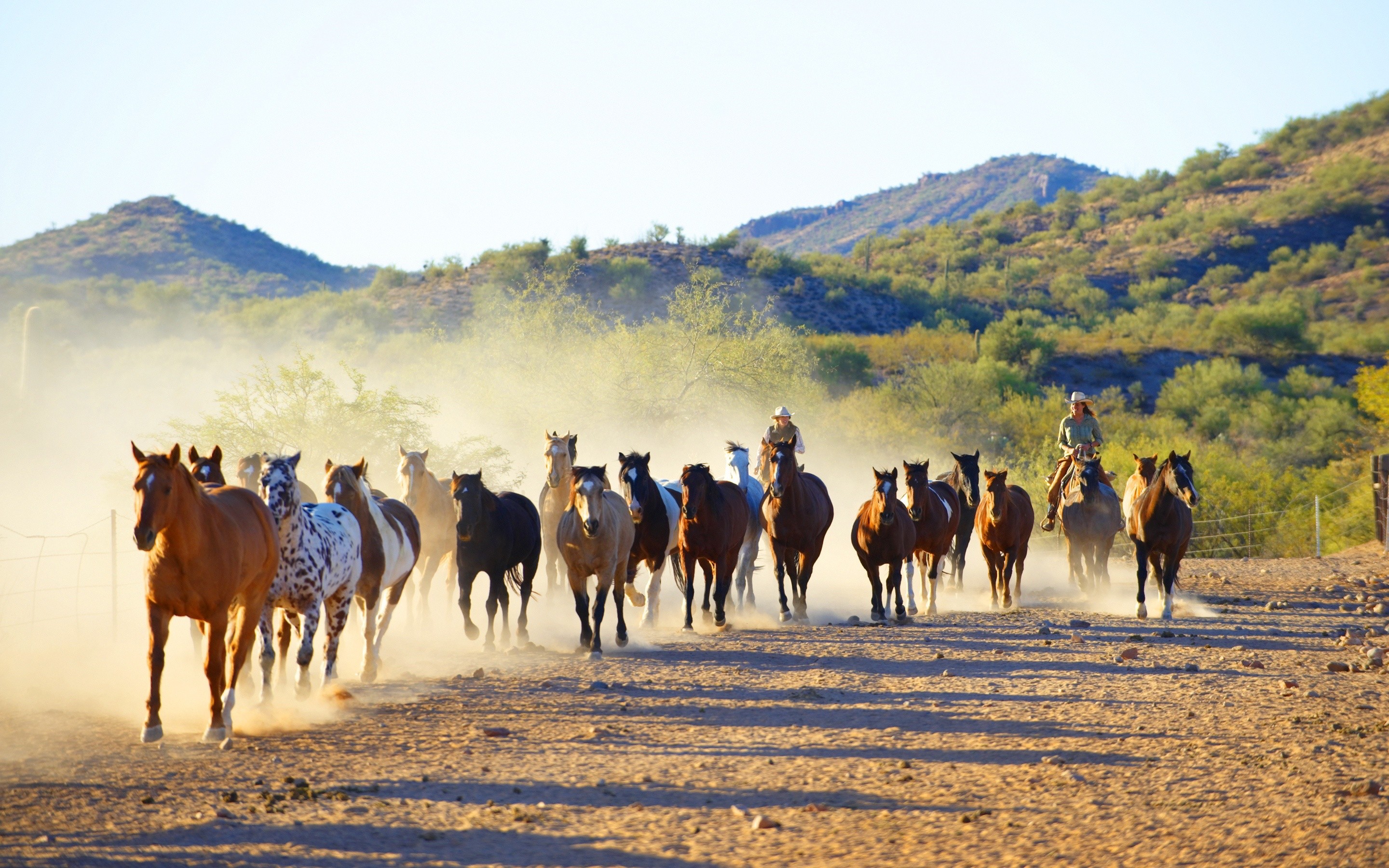 General 2880x1800 animals dust dirt horse hills mammals outdoors