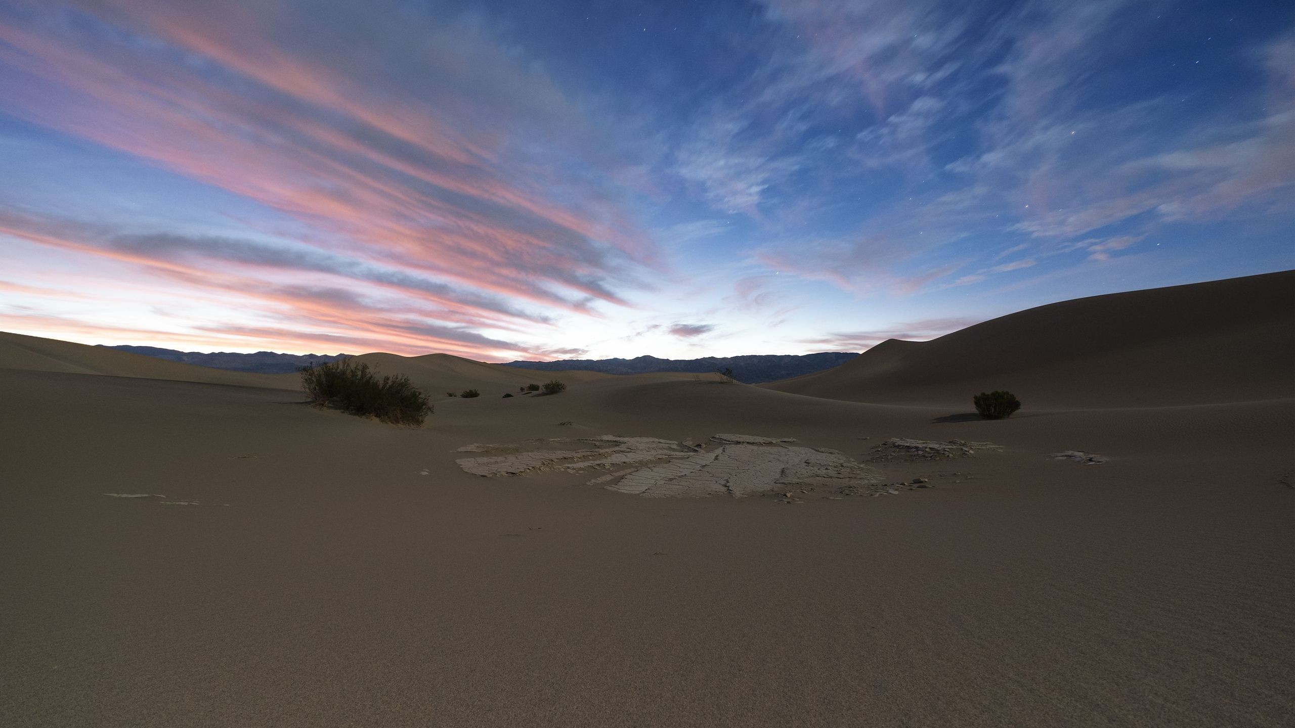 General 2560x1440 nature landscape clouds sand dunes desert sunset plants evening stars long exposure