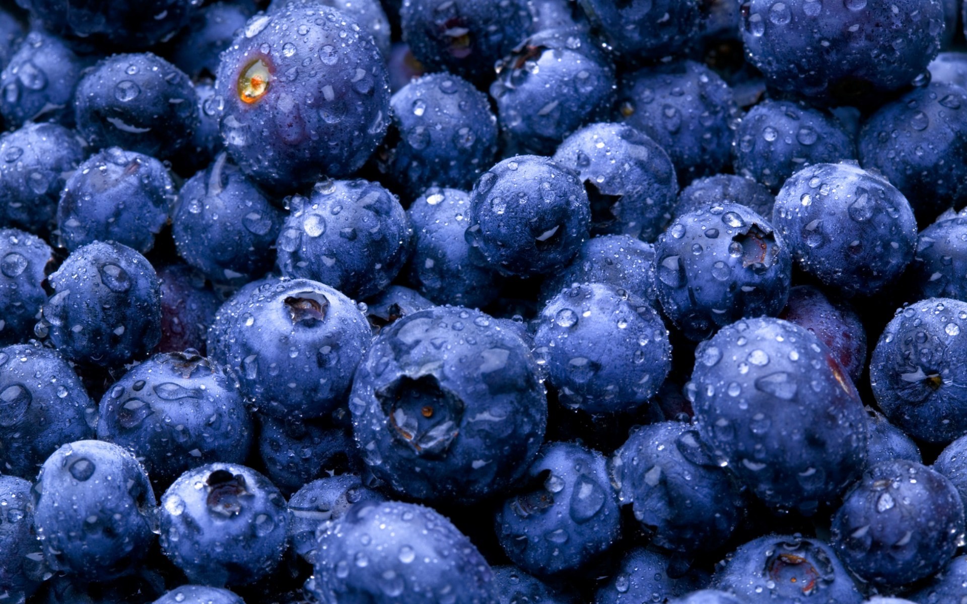 General 1920x1200 fruit blueberries wet macro food water drops