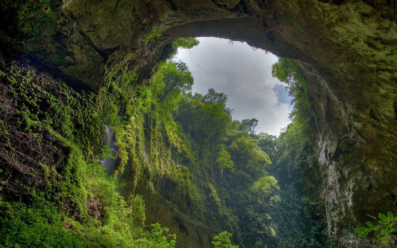 General 1680x1050 nature arch cave trees Puerto Rico rocks landscape