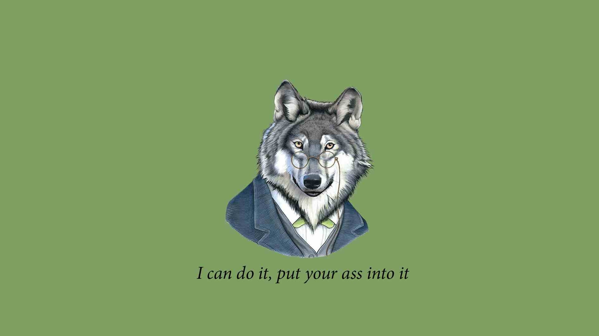General 1920x1080 quote animals simple background wolf glasses green background typography