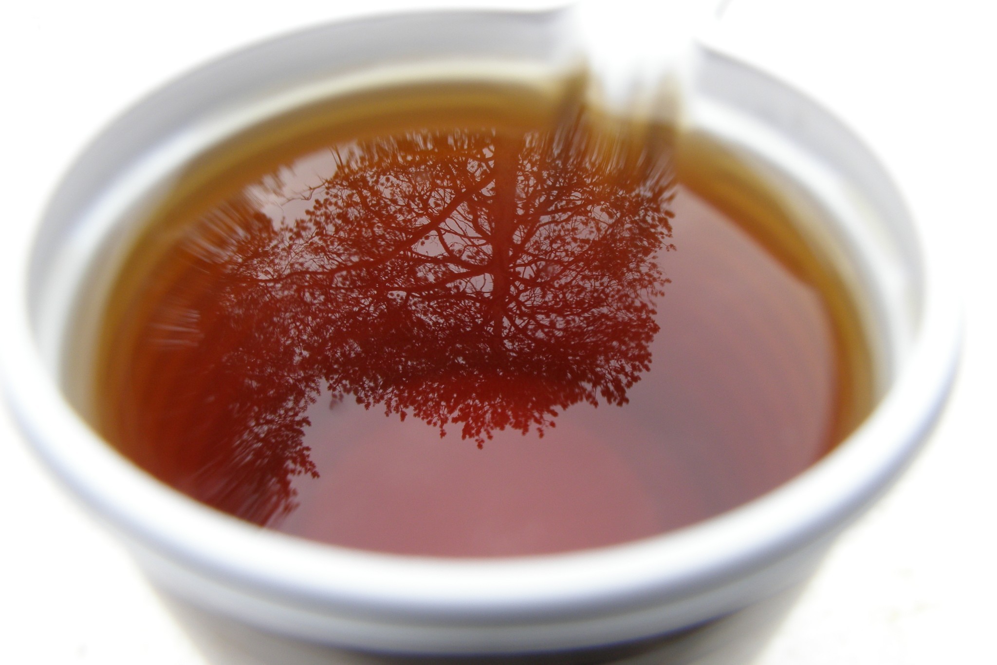General 2048x1365 macro tea drink trees reflection