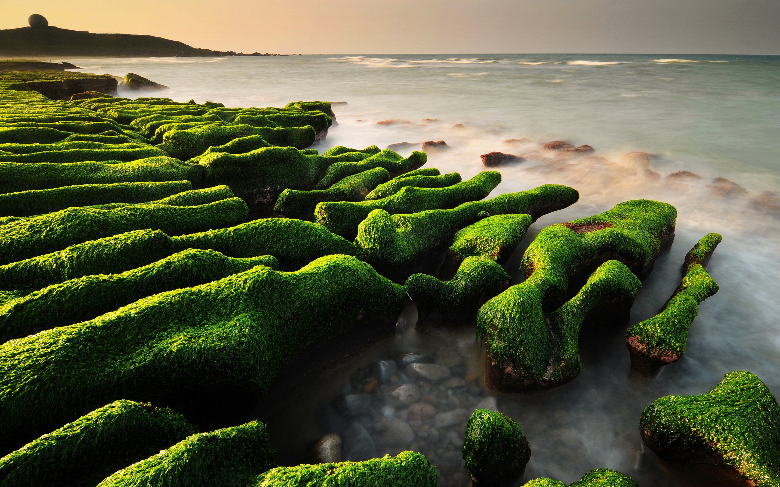 General 2560x1600 landscape nature rocks moss sea green horizon coast plants