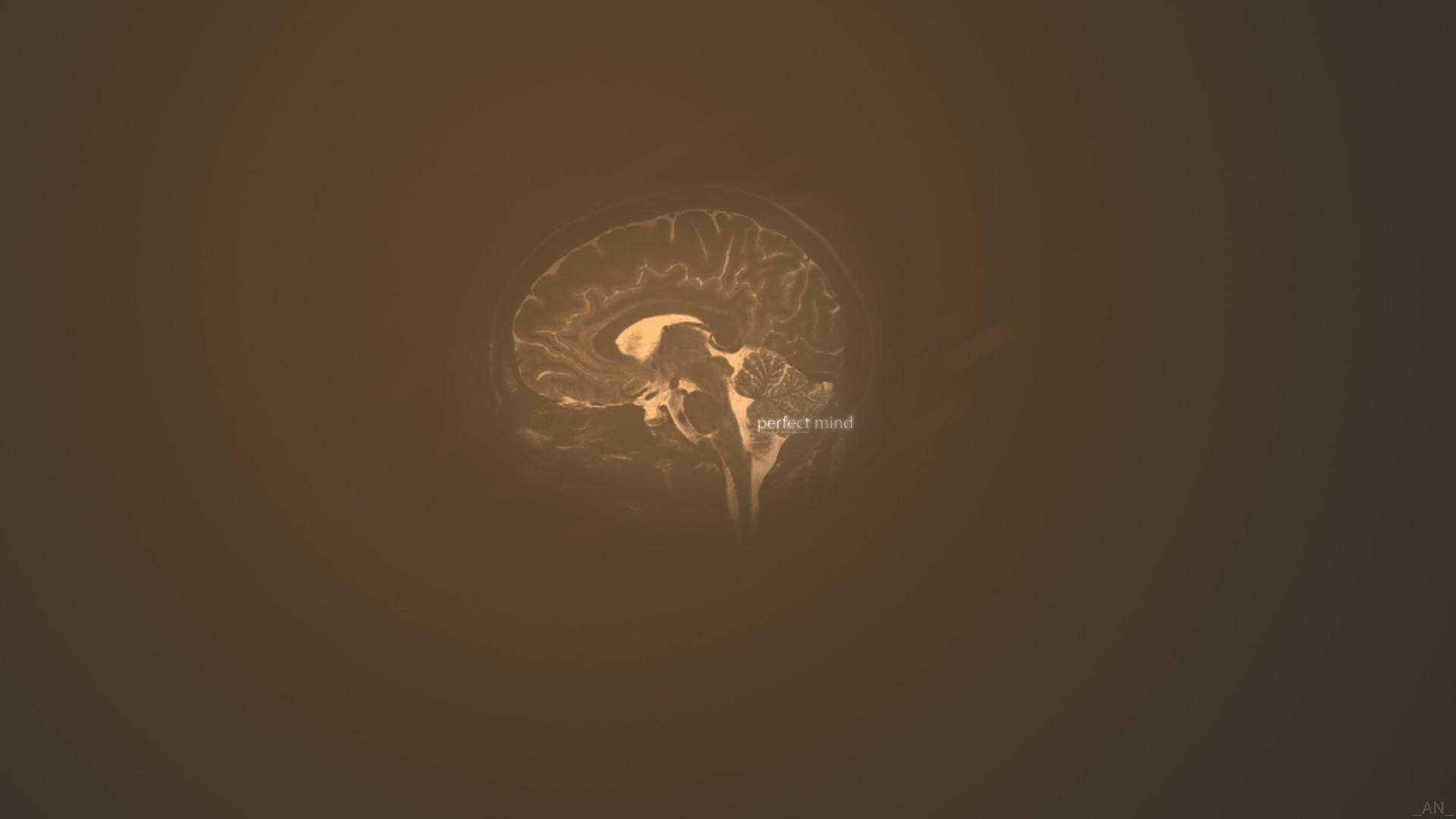General 1920x1080 simple background brain brown background brown artwork anatomy
