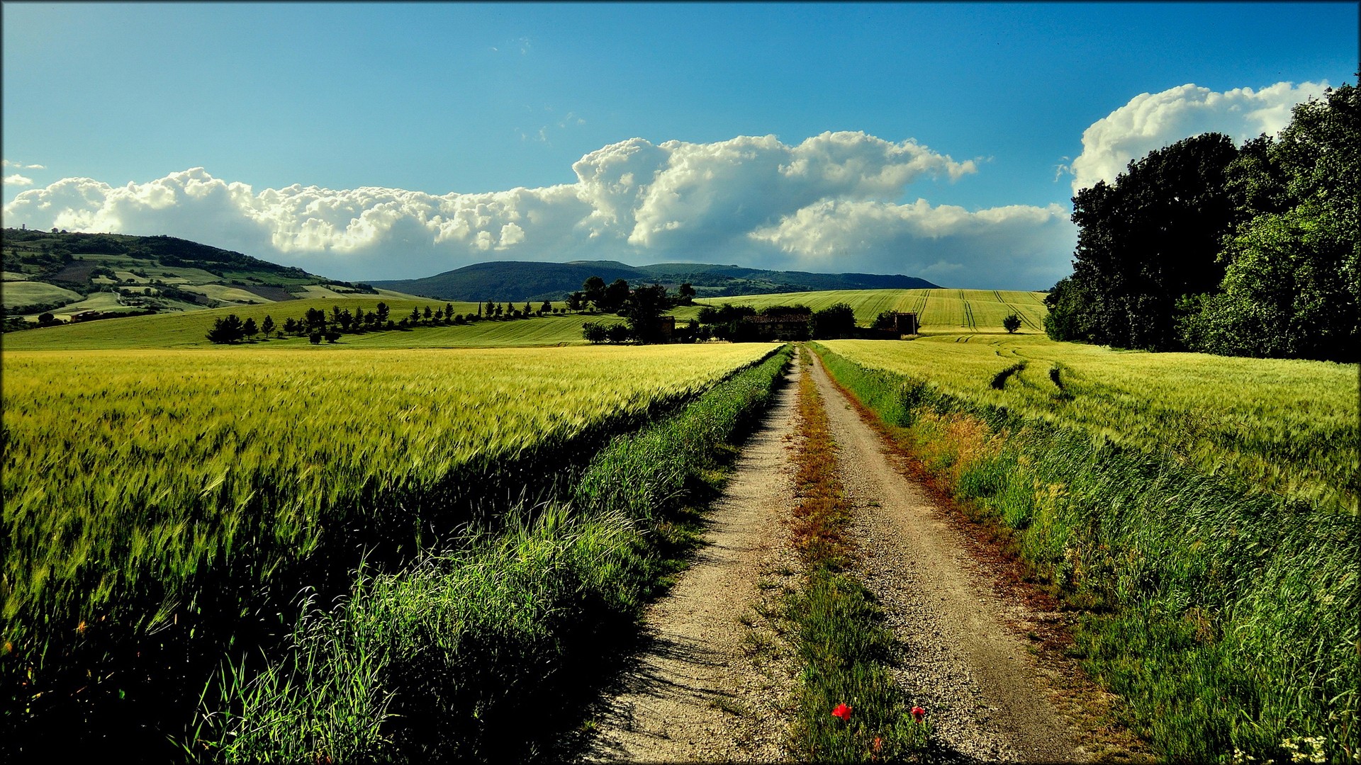 General 1920x1080 landscape field clouds dirt road Agro (Plants) outdoors