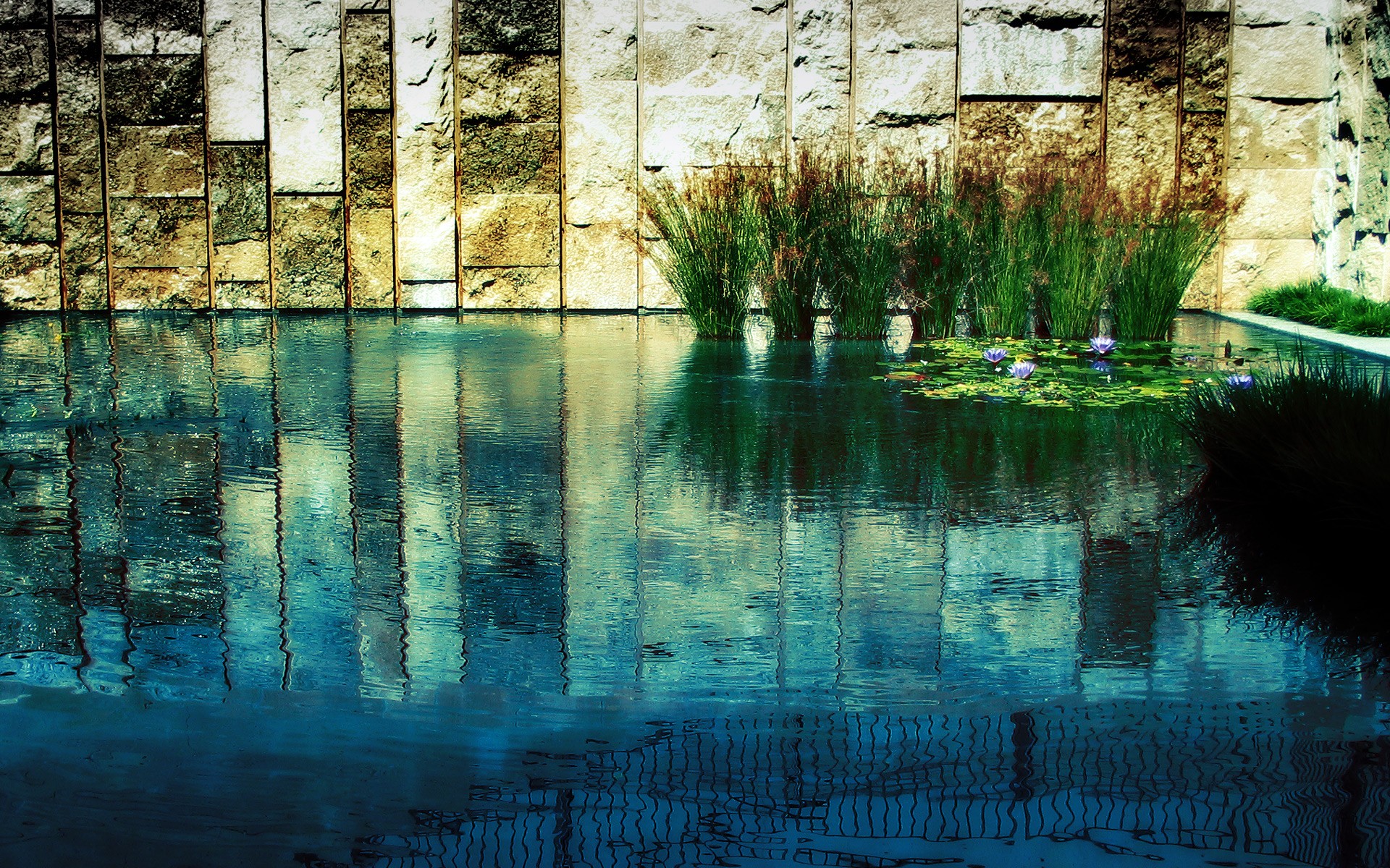 General 1920x1200 water plants reflection stones