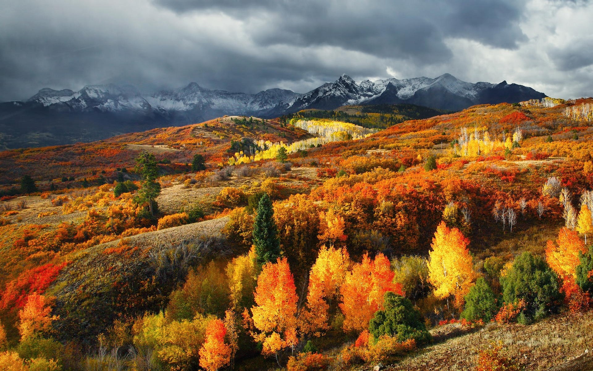 General 1920x1200 nature landscape fall forest mountains Colorado snowy peak clouds colorful USA