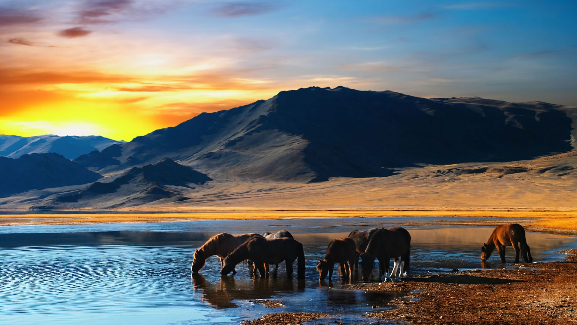 General 1920x1080 landscape horse sunset mountains lake animals mammals water water ripples orange sky nature outdoors
